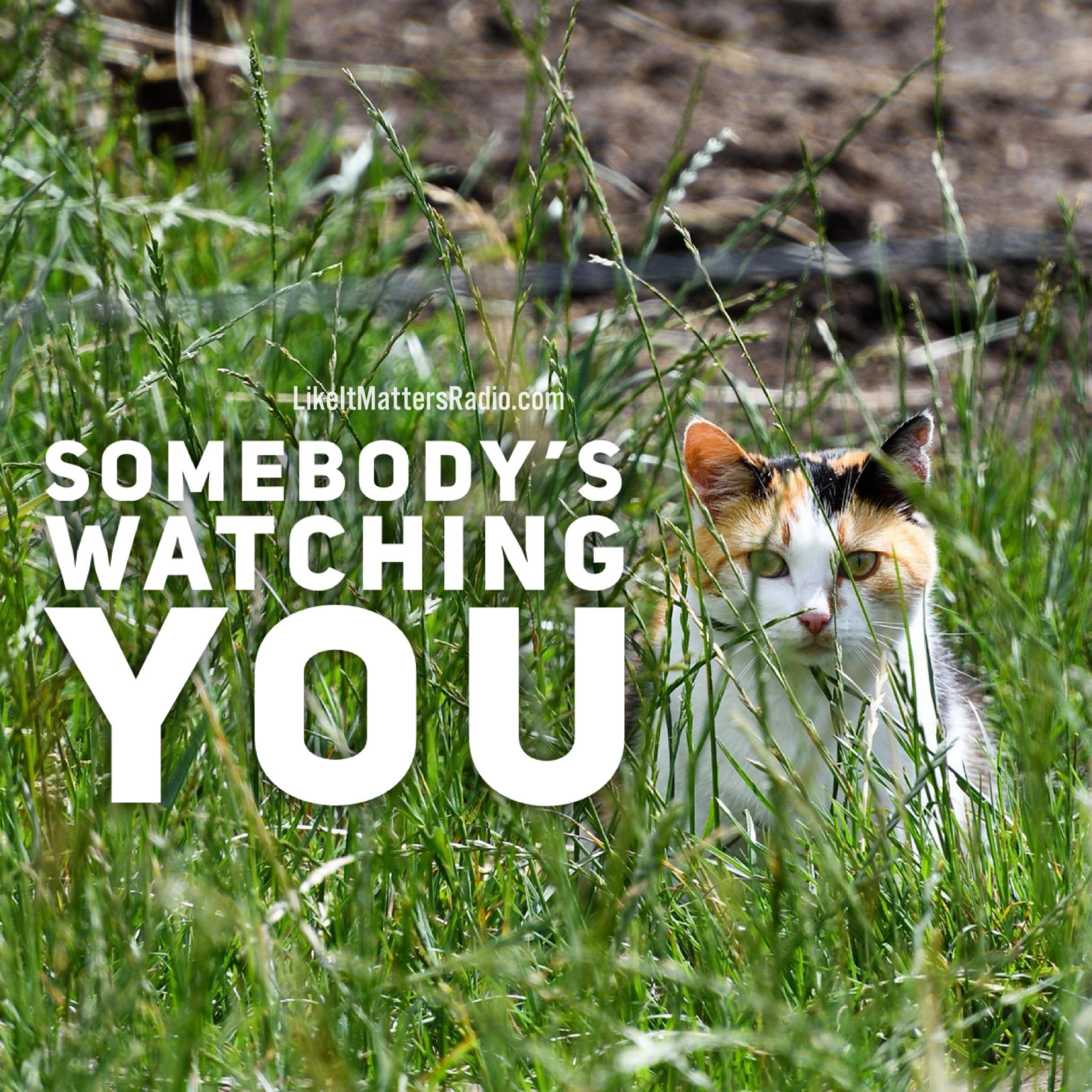 LIM Radio S10E33 Somebody's Watching You
