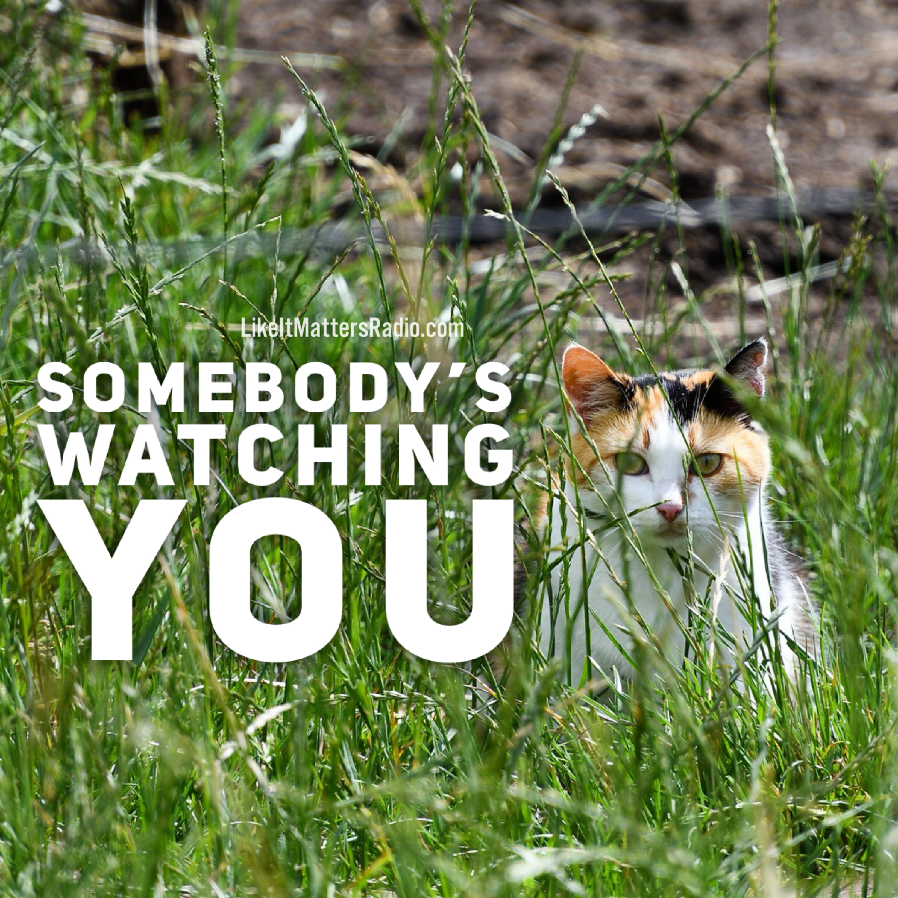 LIM Radio S10E33 Somebody's Watching You