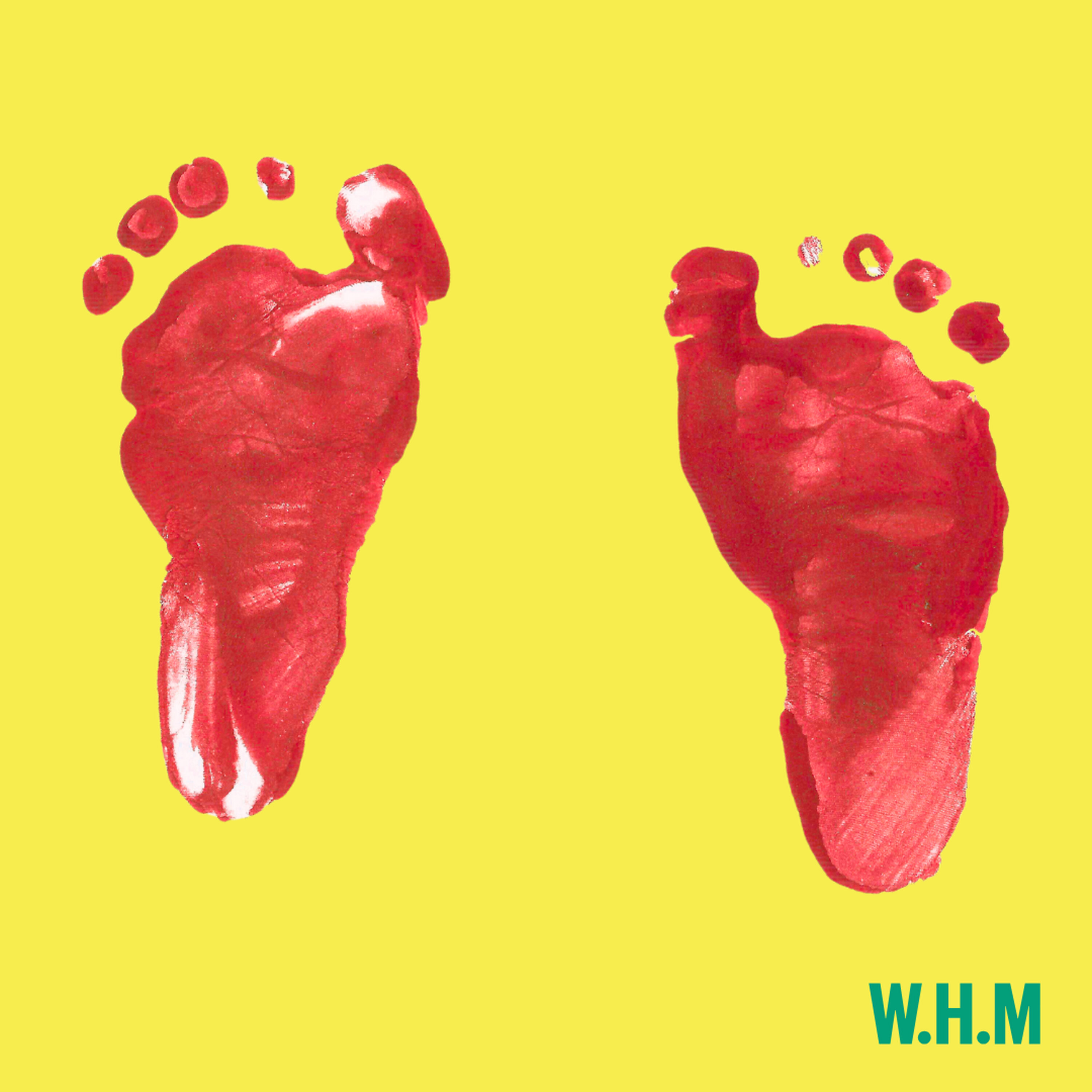 IVF Step by Step episode artwork