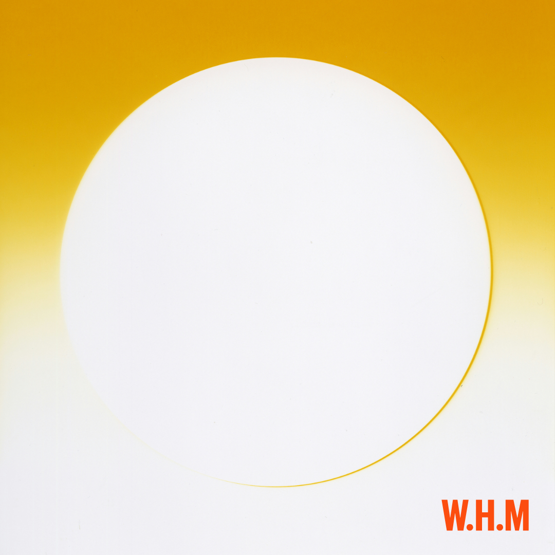 The Vitamin D and AMH connection