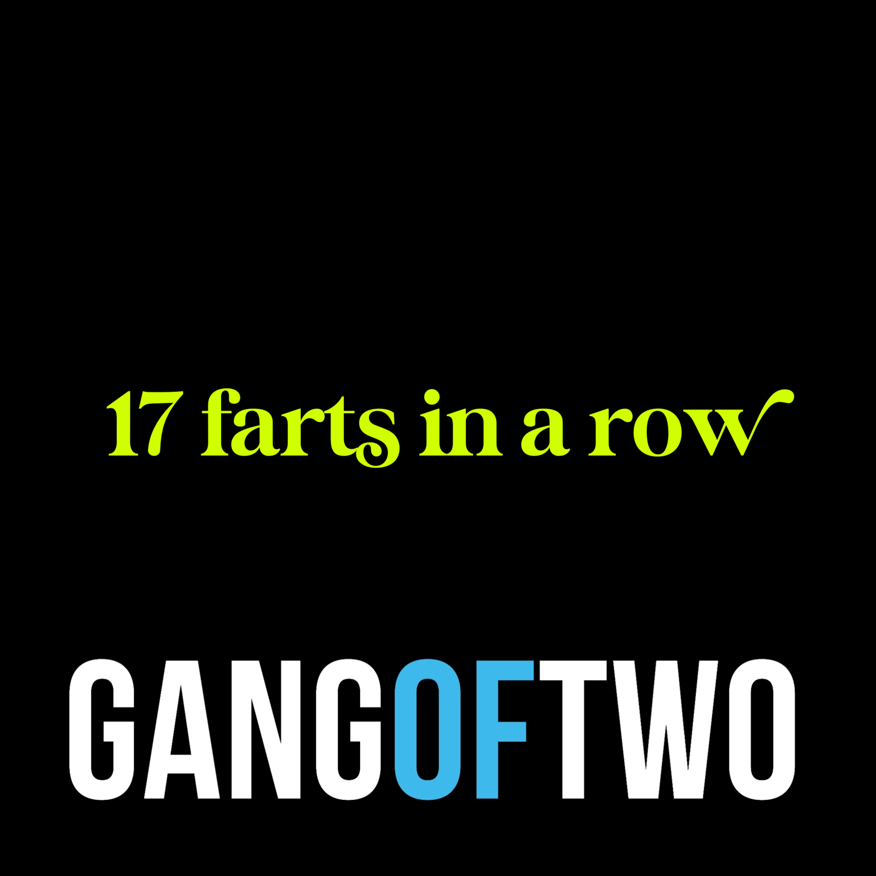 17 FARTS IN A ROW Image