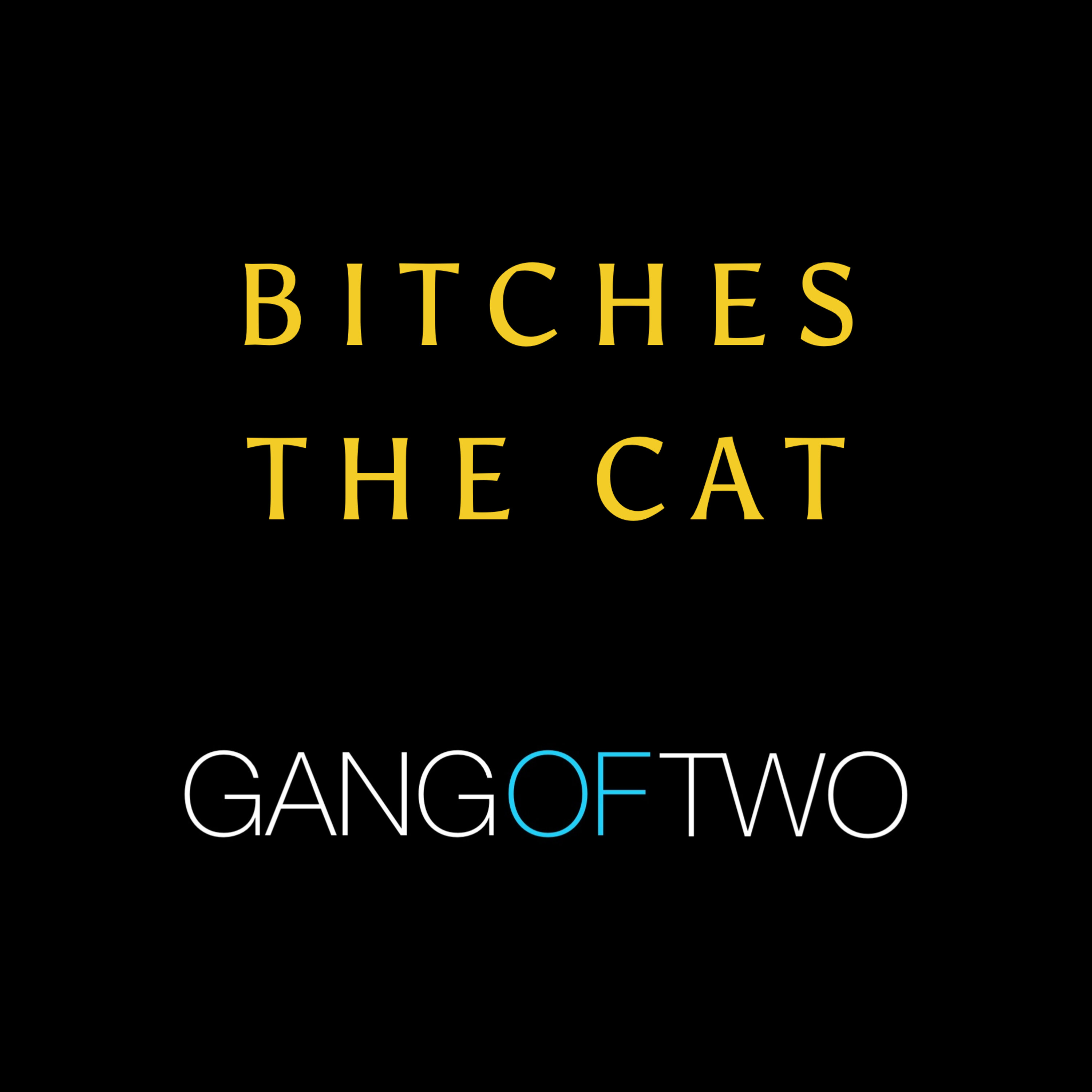 BITCHES THE CAT