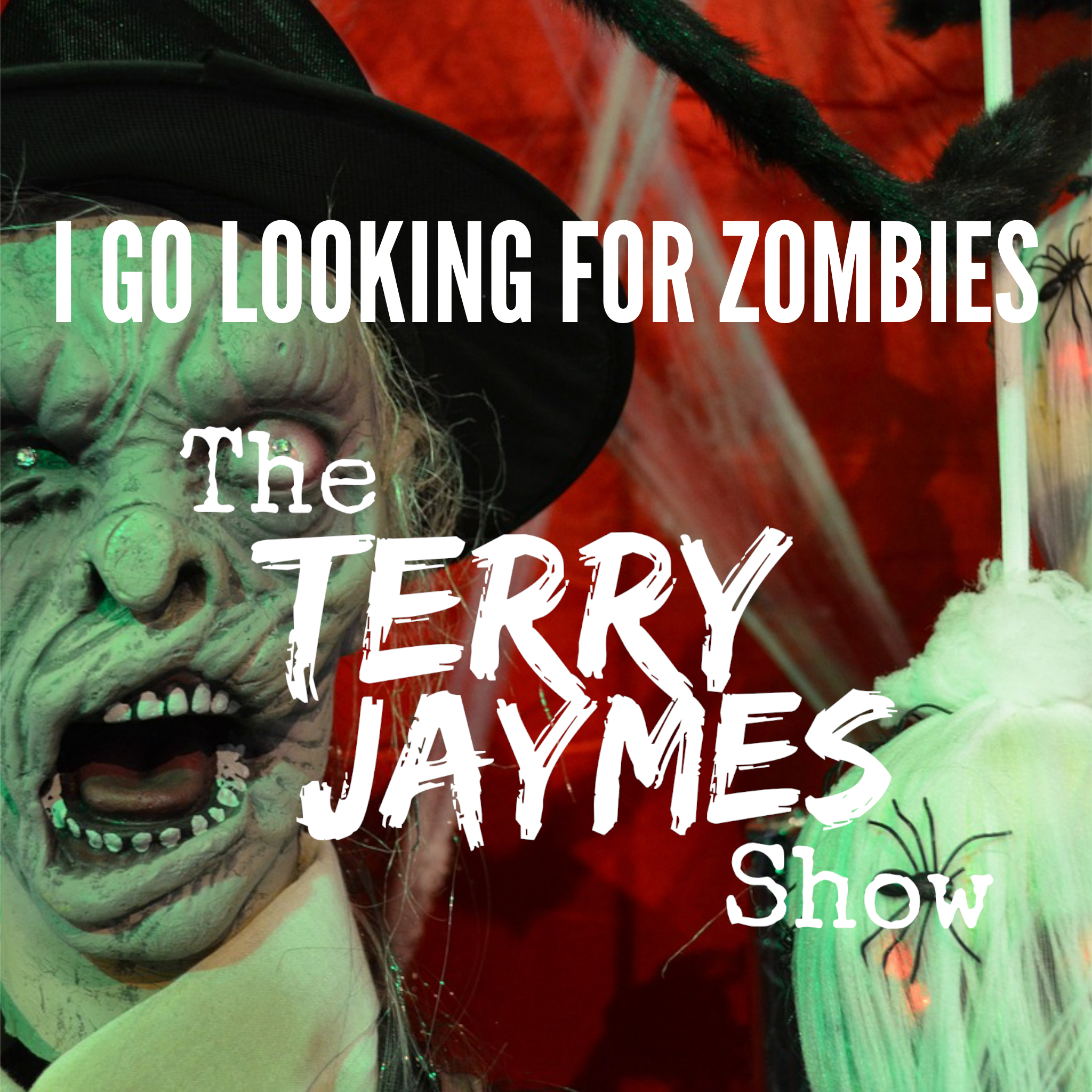 I GO IN SEARCH OF ZOMBIES
