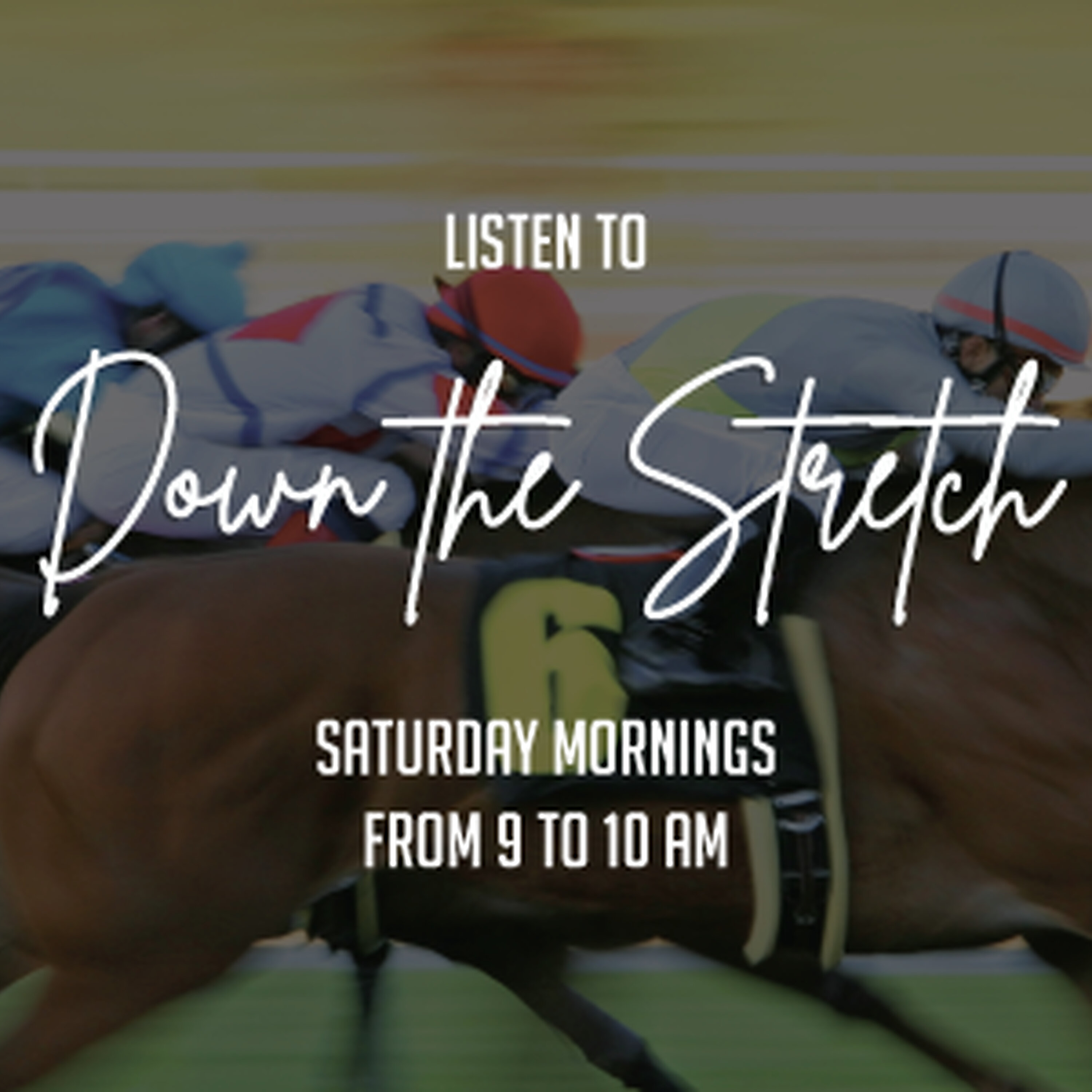 Down the Stretch with Don Knobel (@DTS502) - 11-01-2025 Down the Stretch with Don Knobel (@DTS502) - 11-01-2025