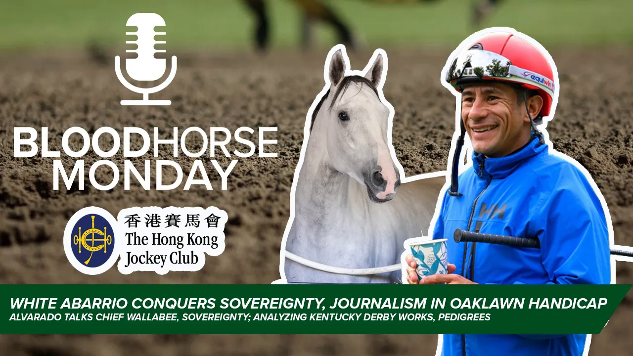 BloodHorse Monday 4/20/26 | Derby Pedigrees episode artwork