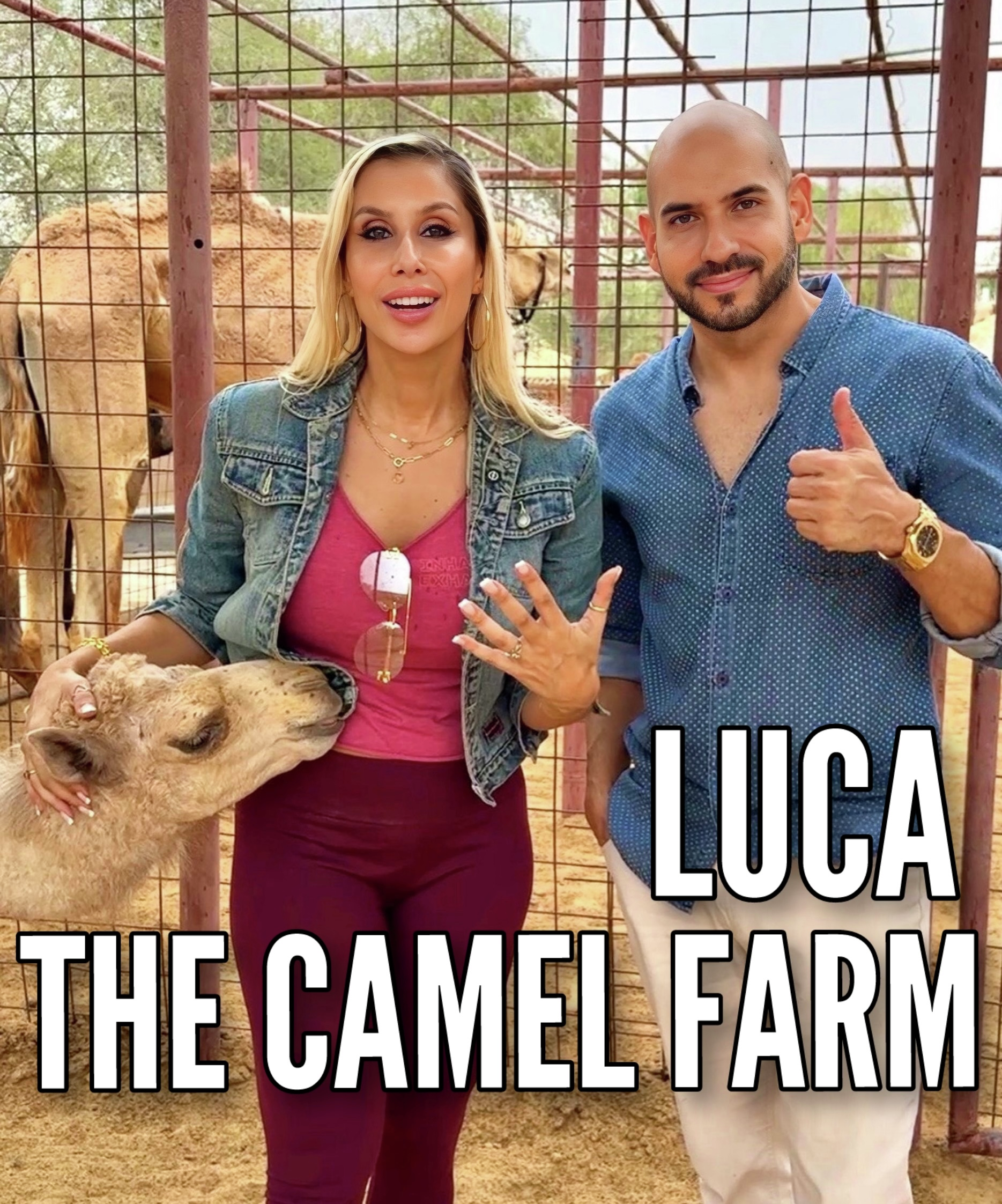 Eve meets Luca owner of The Camel Farm Dubai 