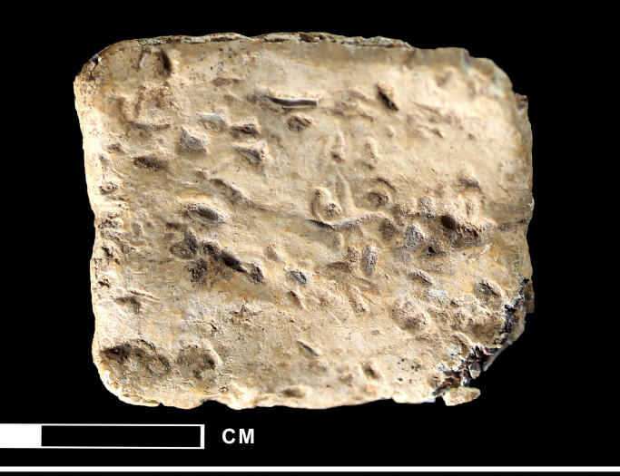 BONUS: Does a tiny 'curse tablet' from Mt. Ebal date to the settlement of Israel?