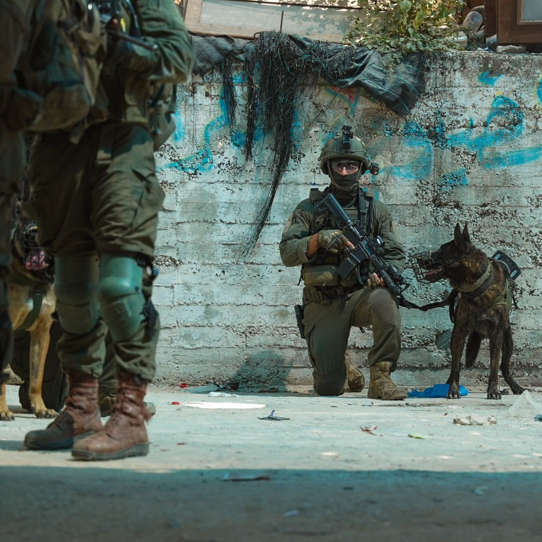 Day 328 - Hamas urges suicide attacks as IDF operates in West Bank