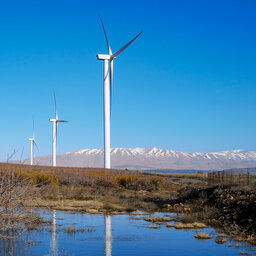 Wind turbines - green or greed? Depends how you spin it