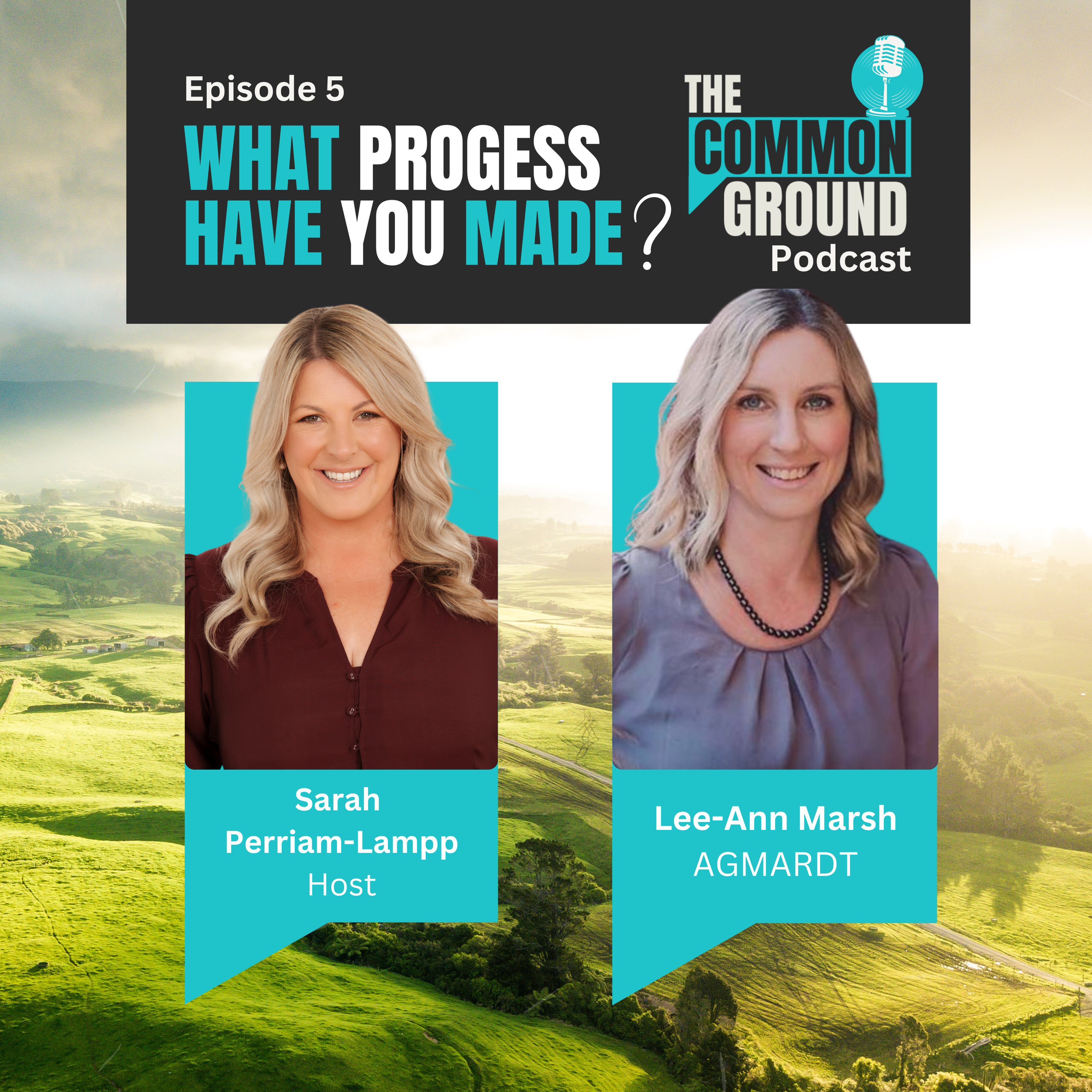 What progress has The Common Ground made so far?