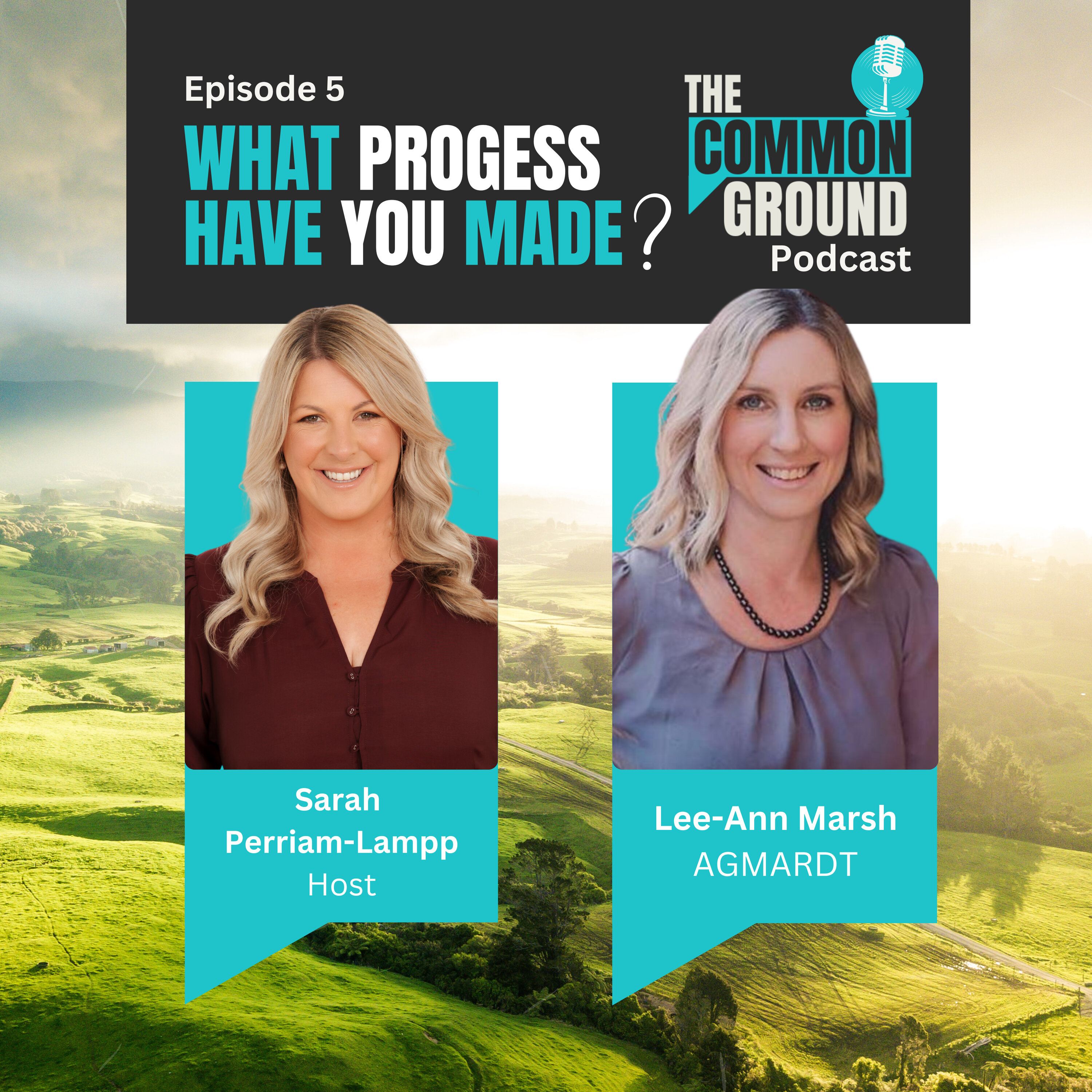 What progress has The Common Ground made so far?