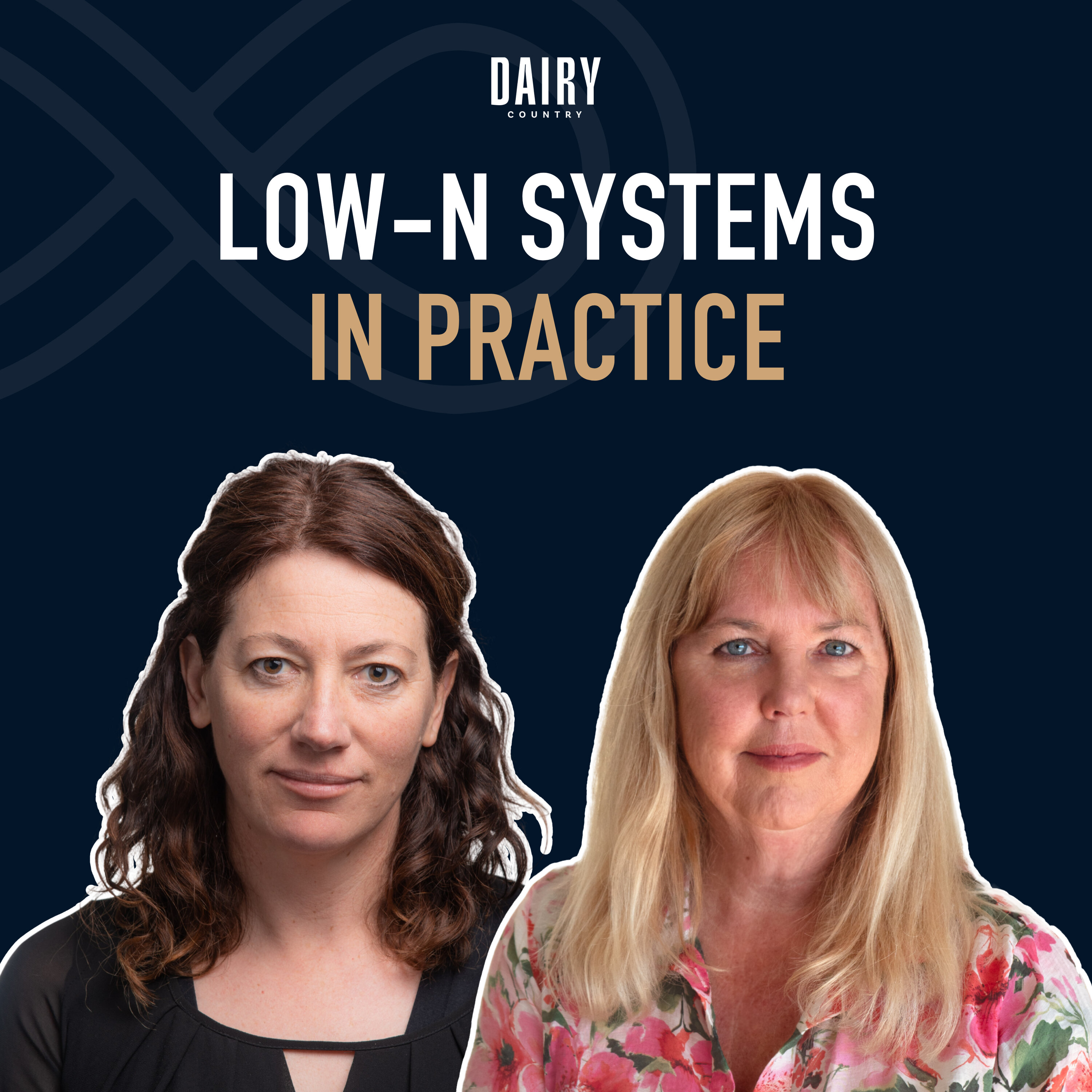 Episode 95 - Low-N Systems in Practice episode artwork