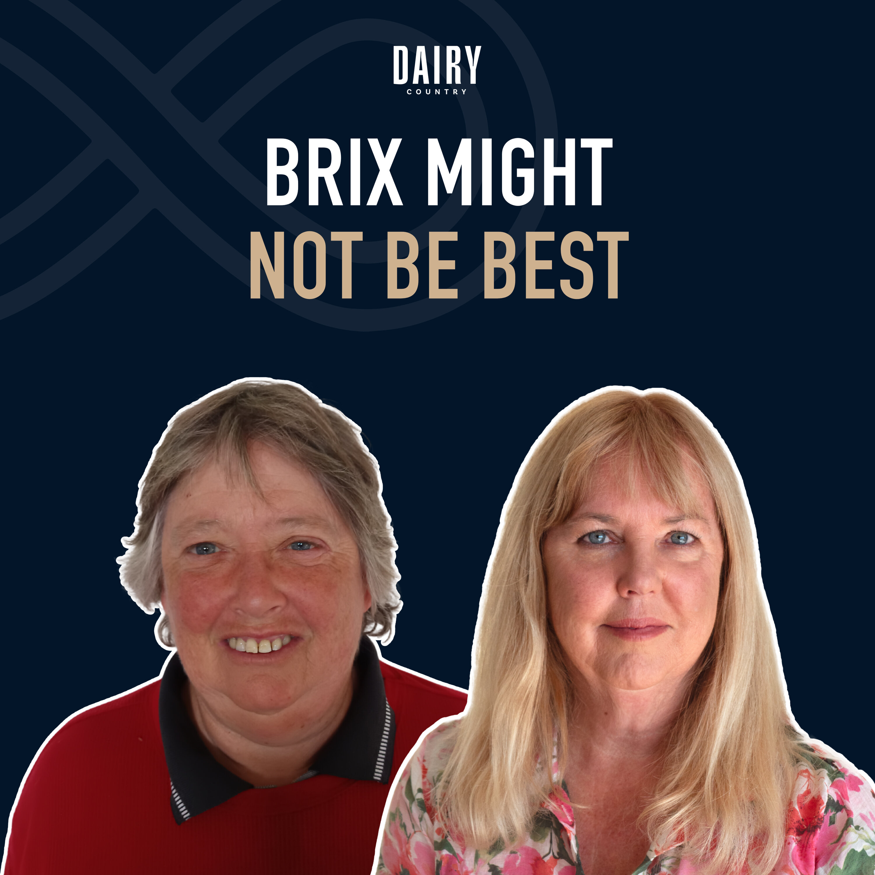 Episode 102 - Brix might not be best episode artwork