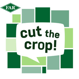 UK maize challenges and opportunities
