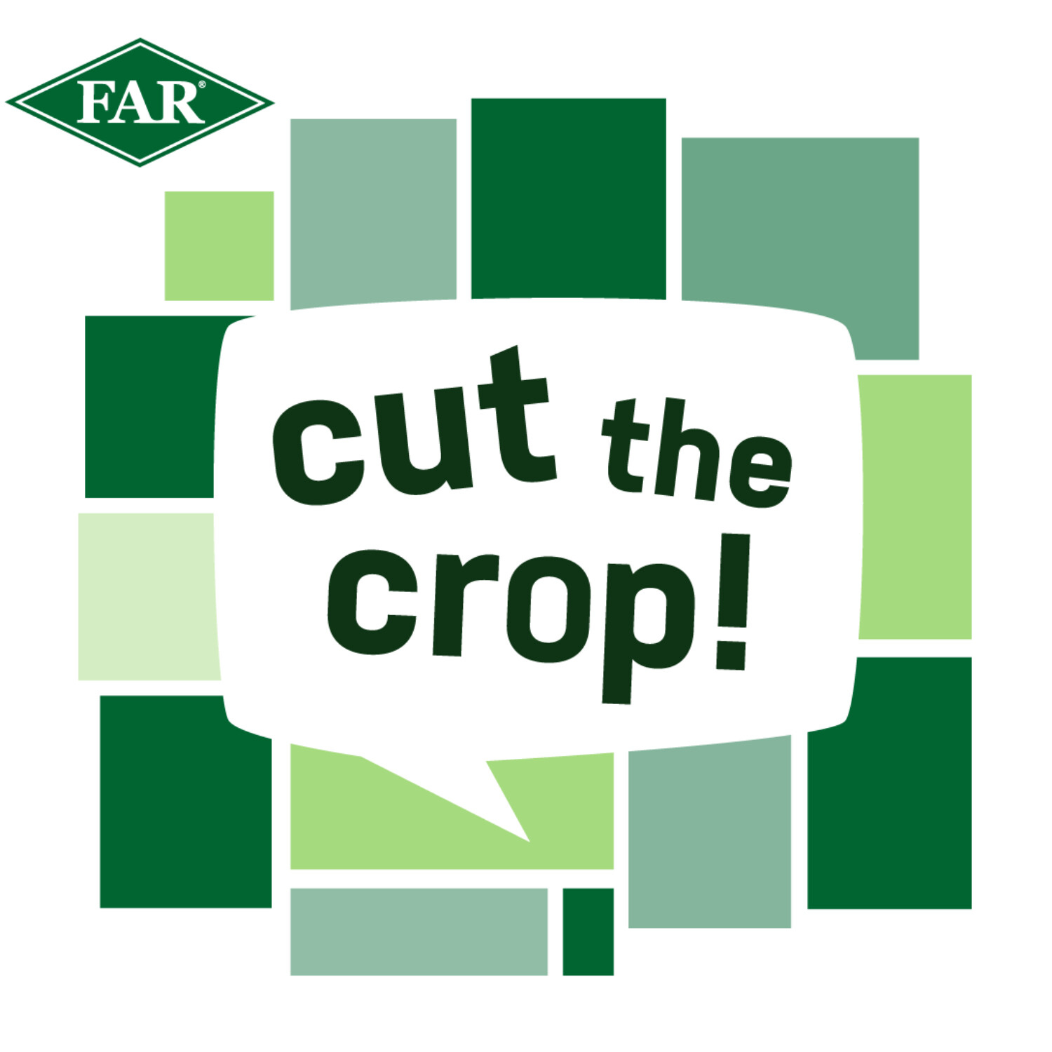  Growers warned on seed dressing losses