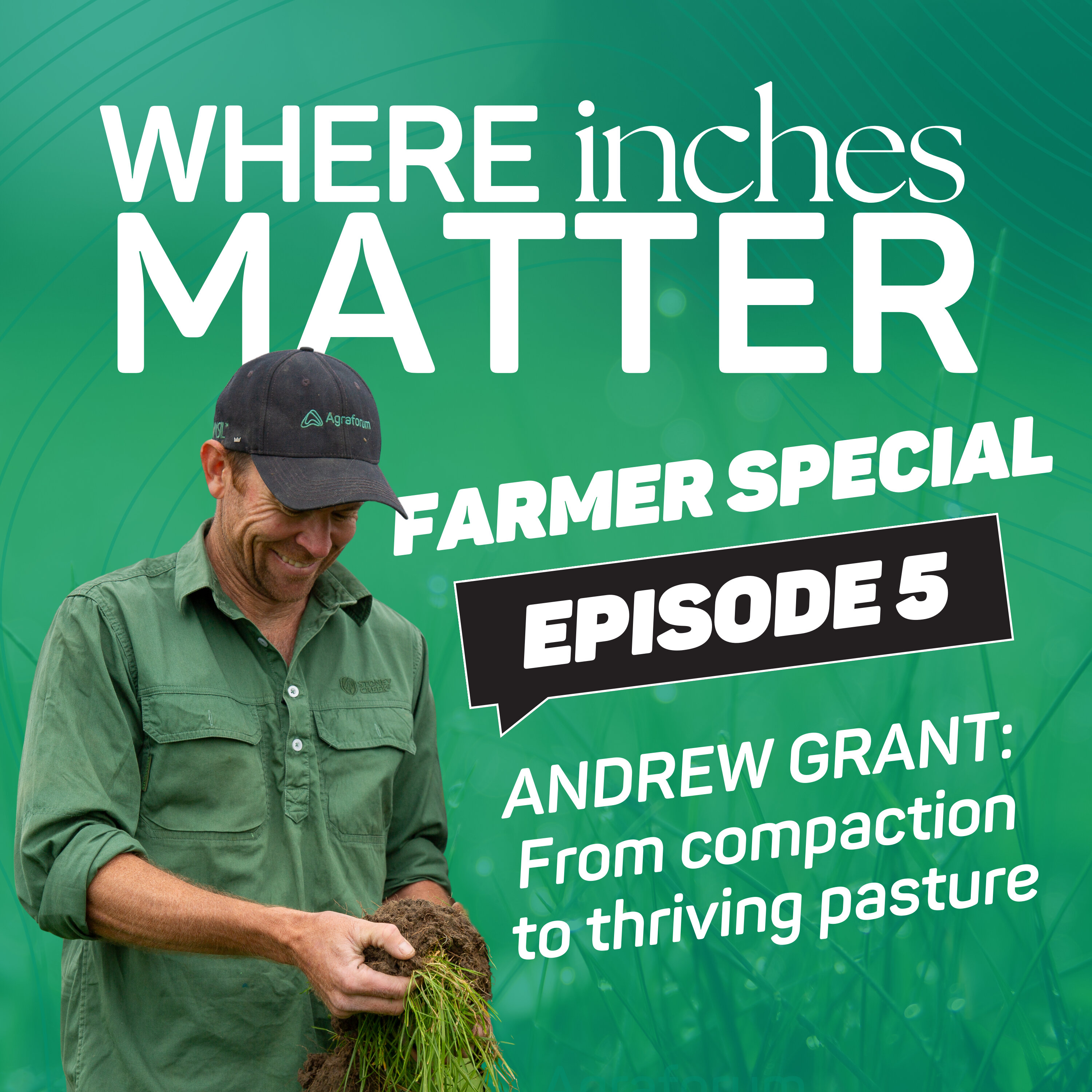 FARMER SPECIAL: Andrew Grant - From Compacted Soils to Thriving Pastures episode artwork