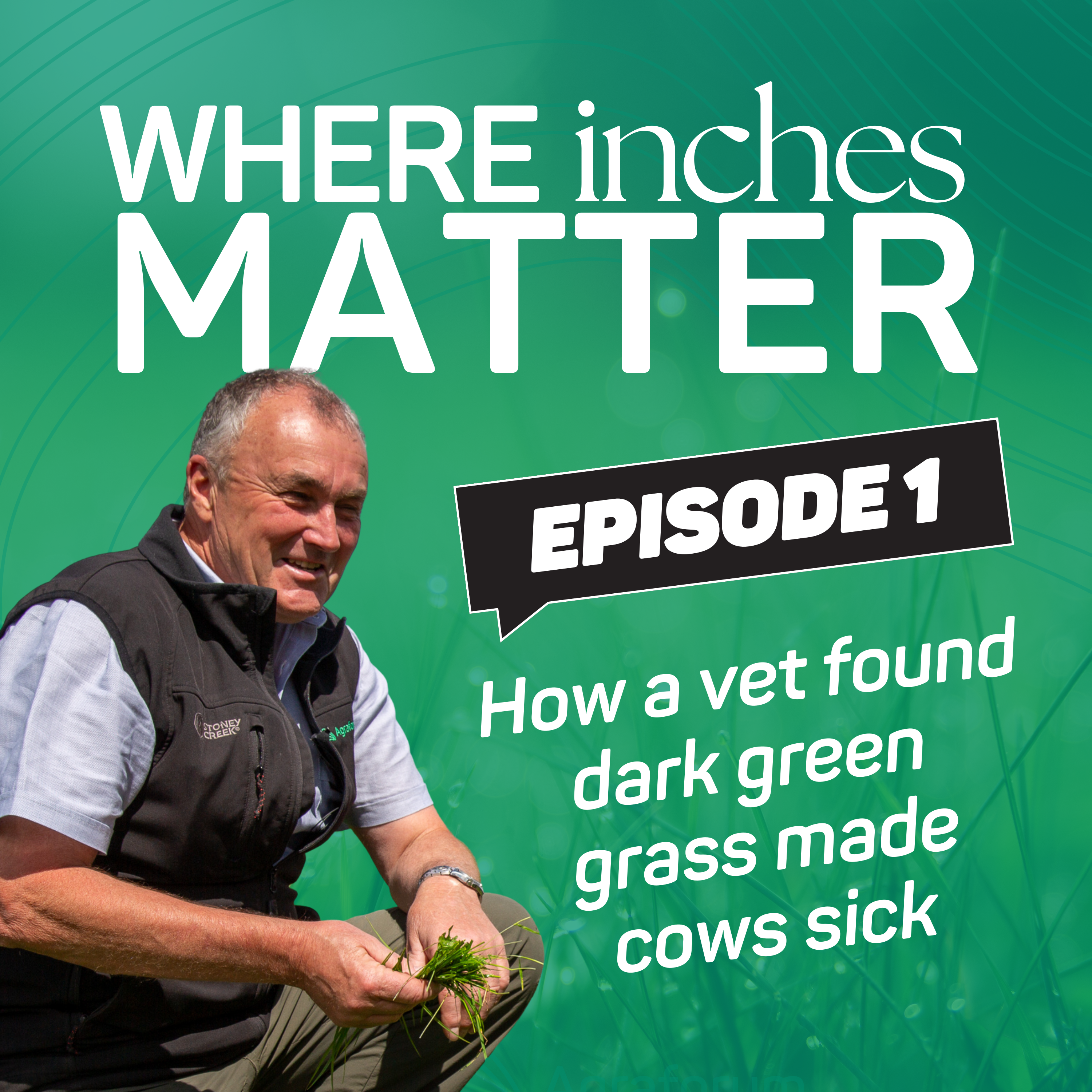 Ep 1 - How a vet found dark green grass patches where leading to issues in cow health