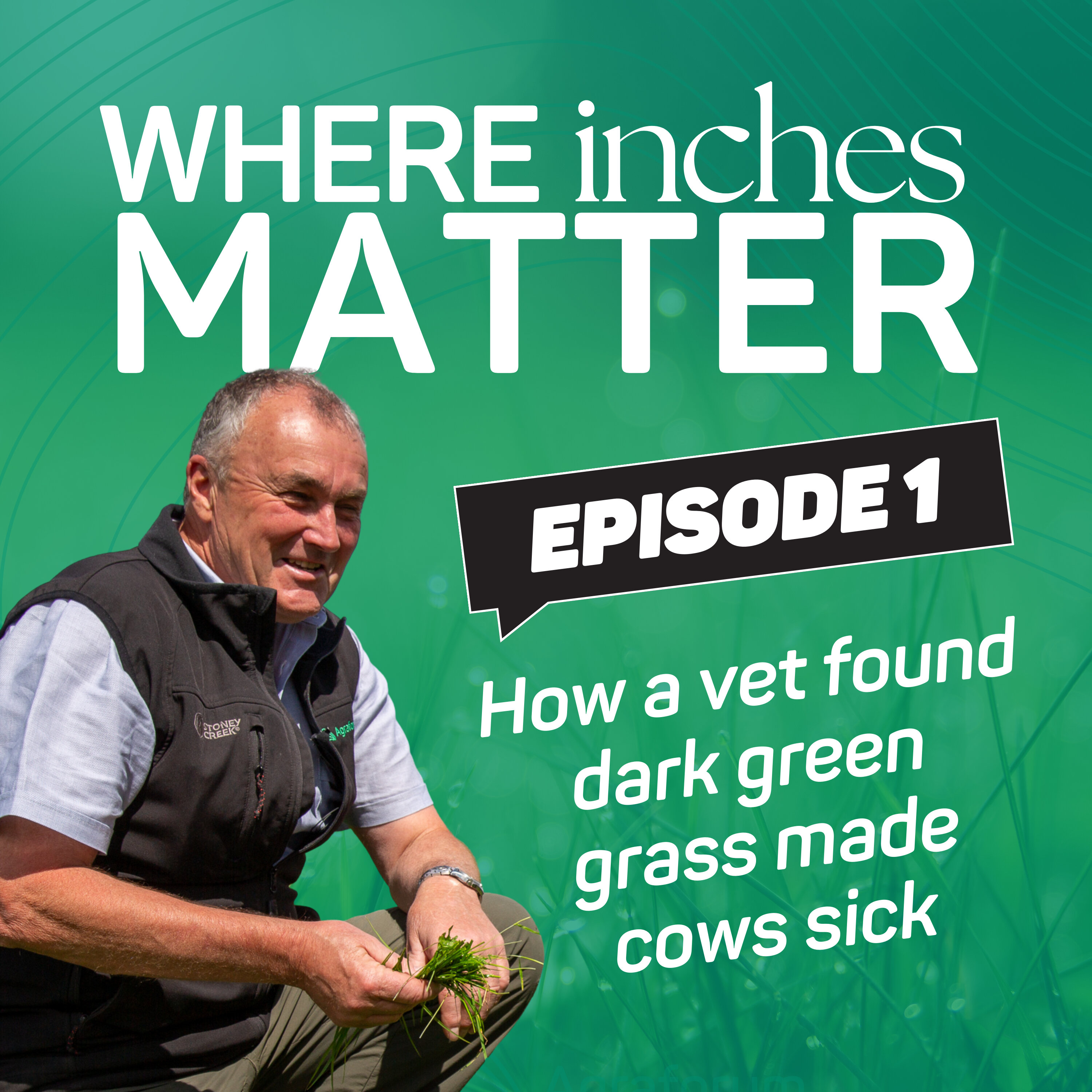 Ep 1 - How a vet found dark green grass patches where leading to issues in cow health episode artwork