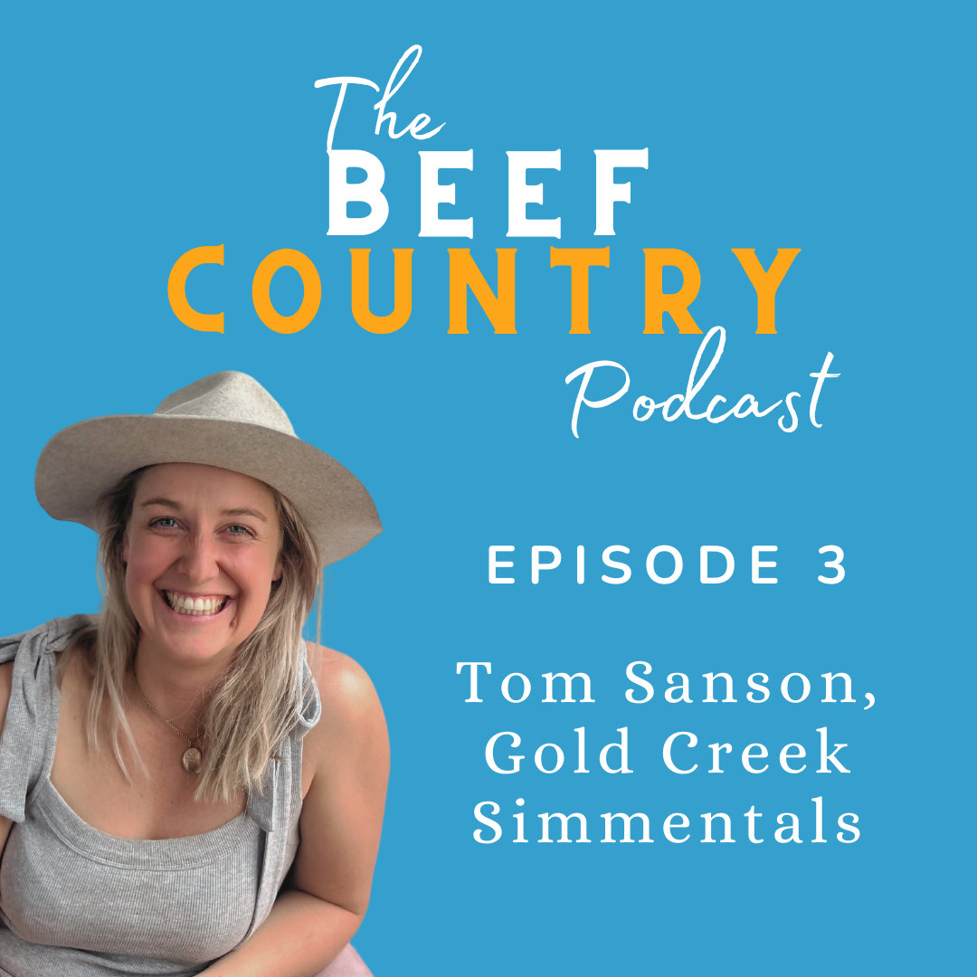Episode 3 - Tom Sanson, Gold Creek Simmentals