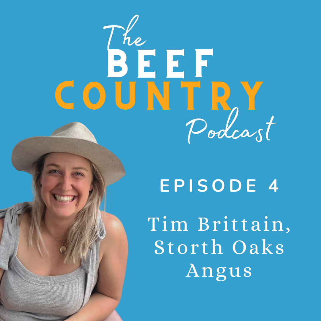 Episode 4 - Tim Brittain, Storth Oaks Angus