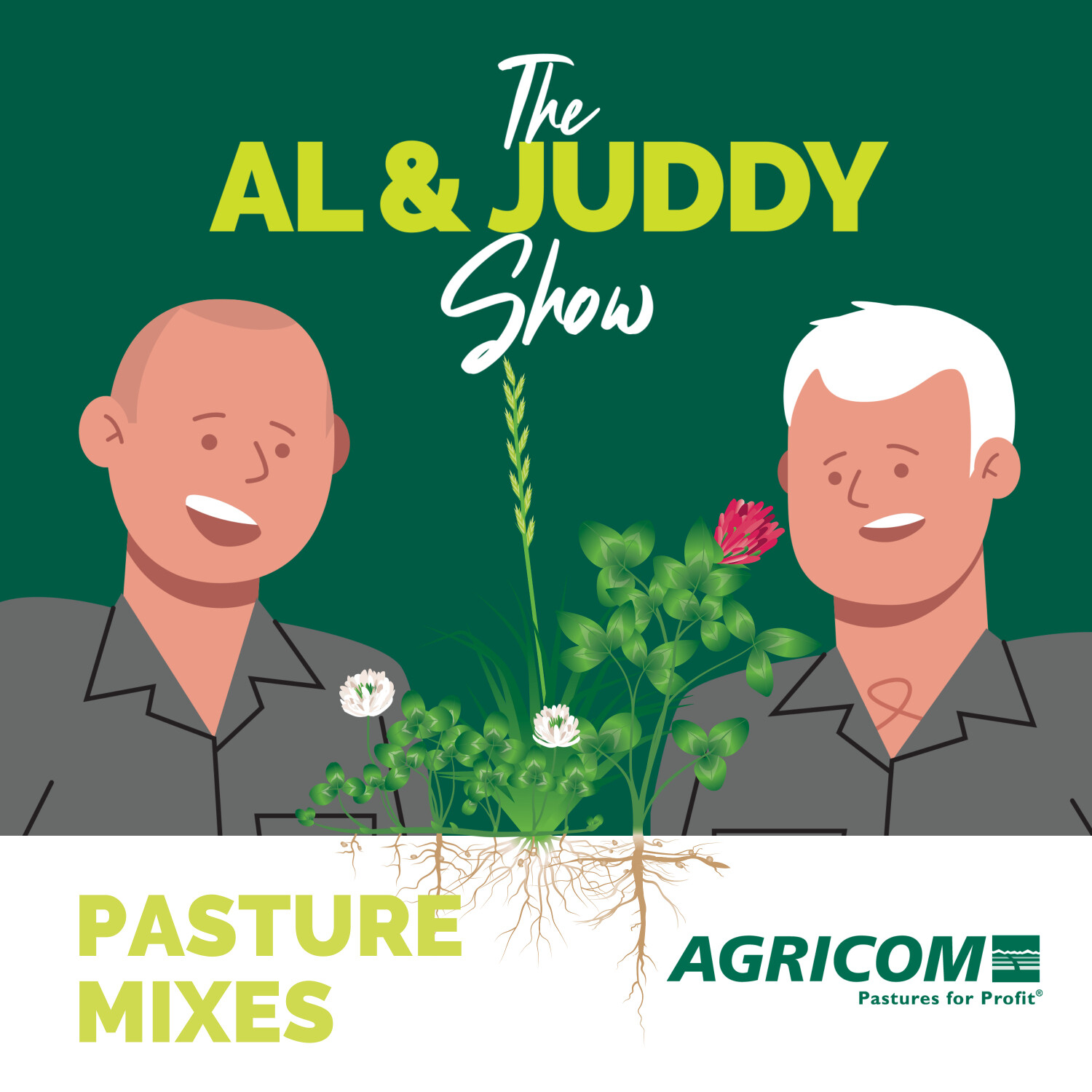 Pasture mixes – bringing the species together