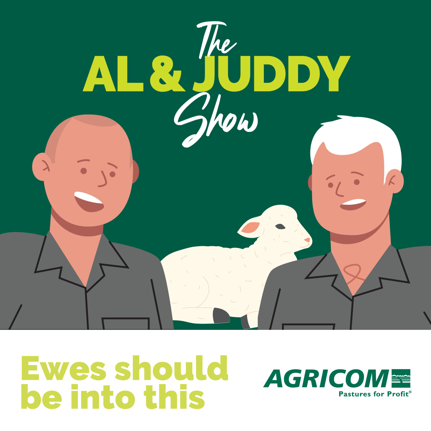 Ewes should be into this 