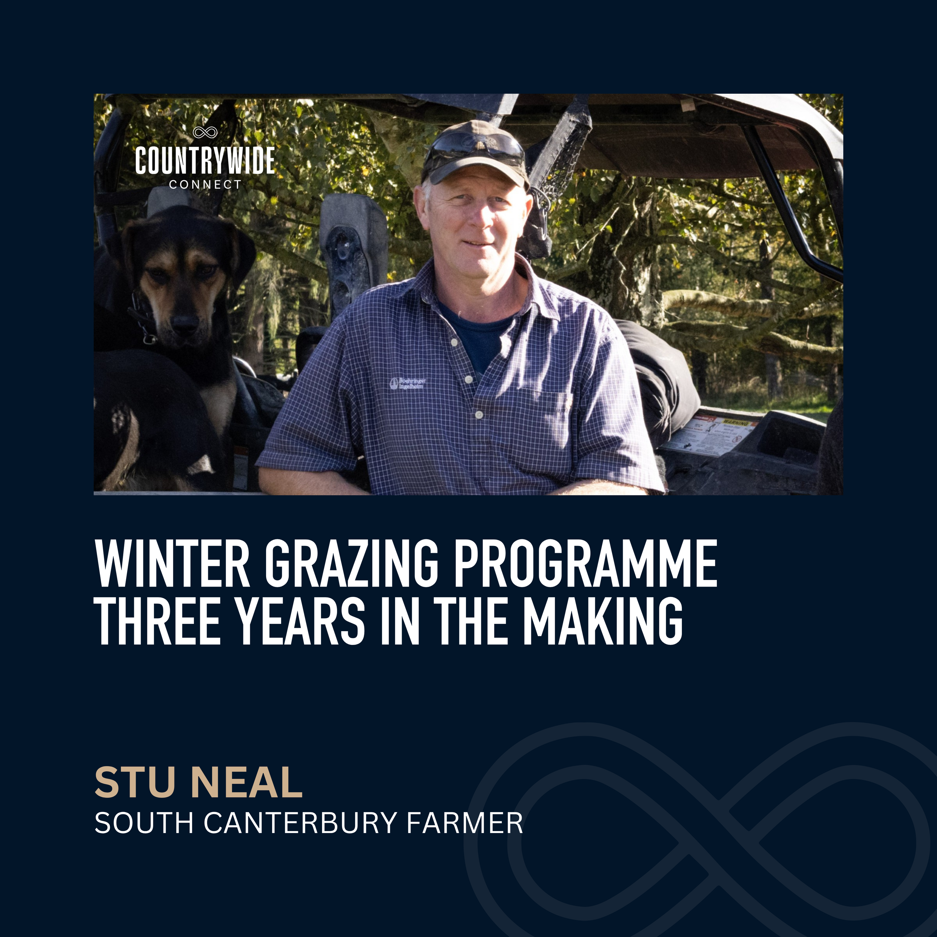Stu Neal - Winter grazing programme three years in the making