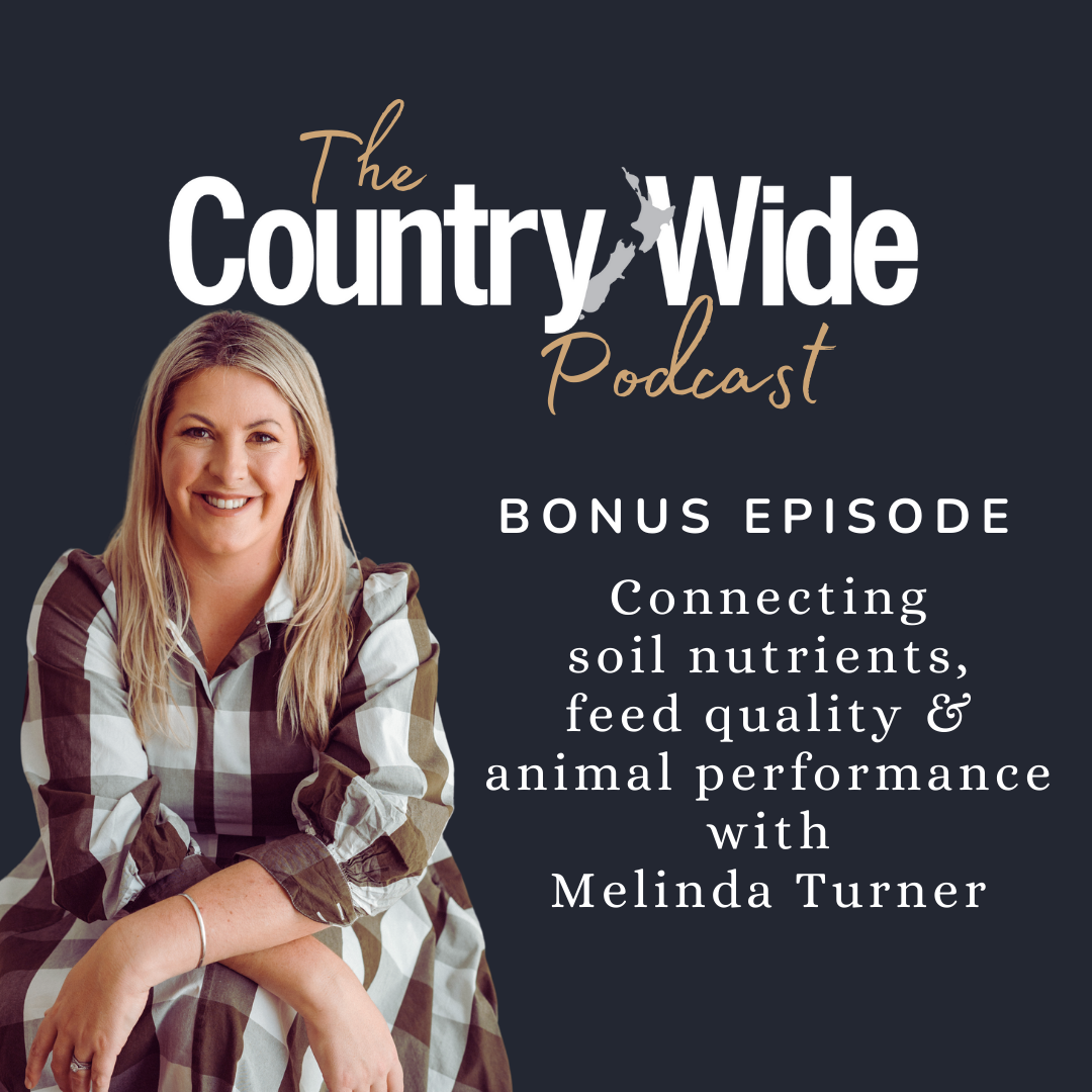 BONUS: Connecting soil nutrients, feed quality and animal performance with Melinda Turner