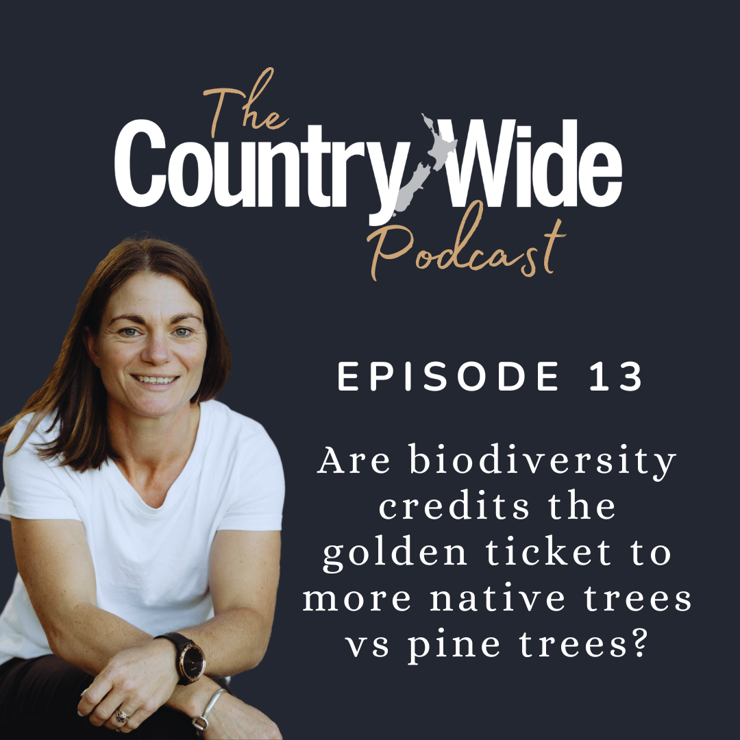 Are biodiversity credits the golden ticket to more native trees vs pine trees?