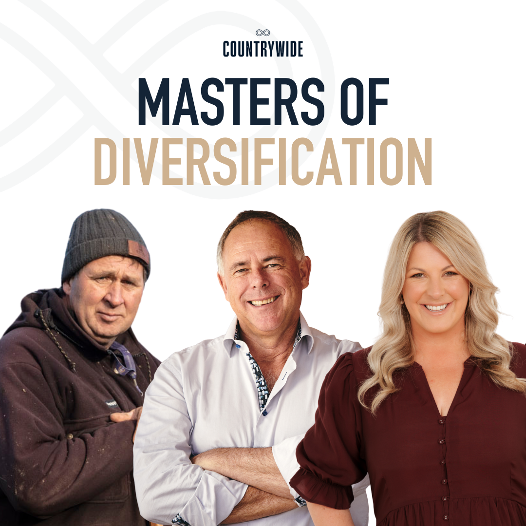 Episode 78 - Masters of diversification
