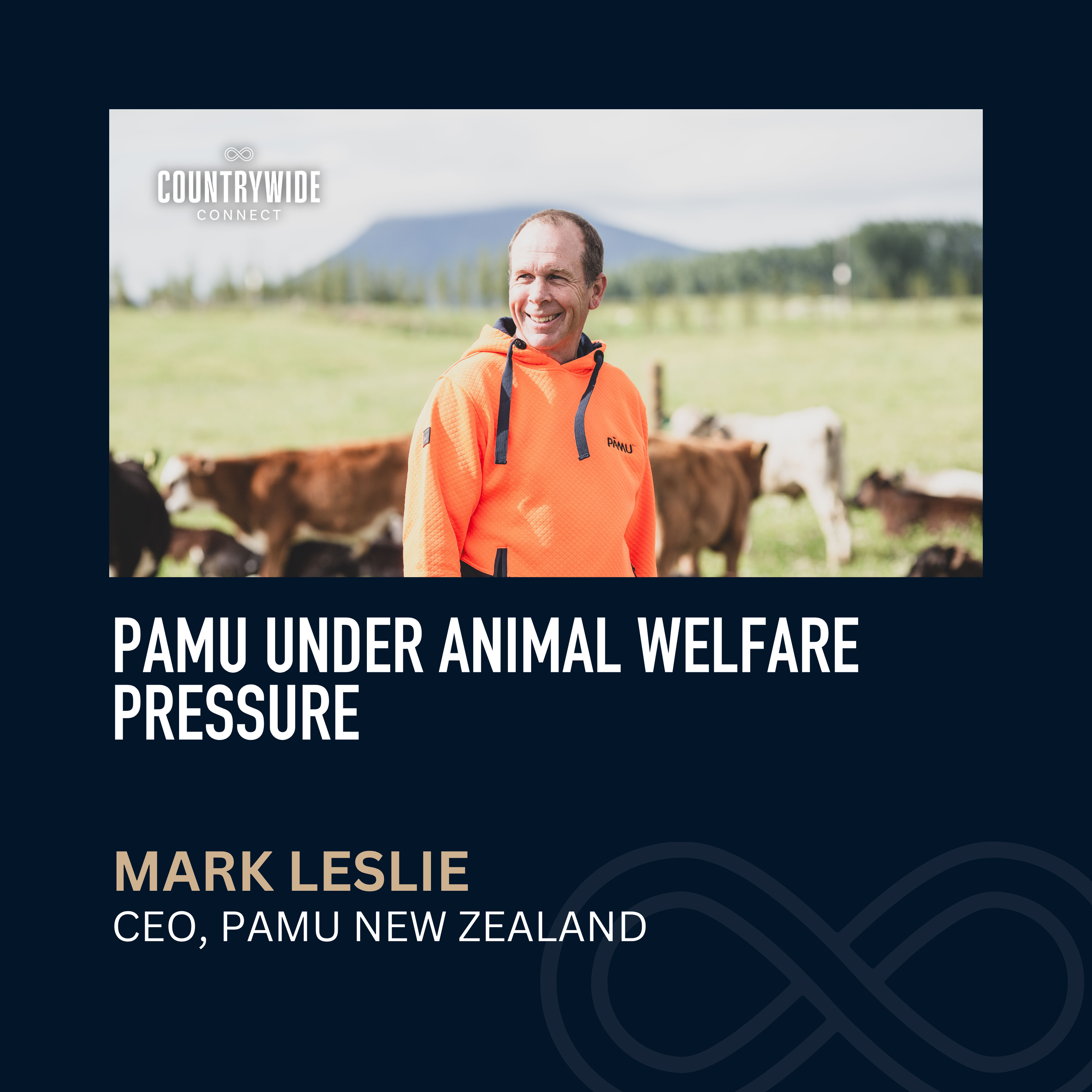 Pāmu under animal welfare pressure // Mark Leslie, CEO, Pāmu New Zealand episode artwork