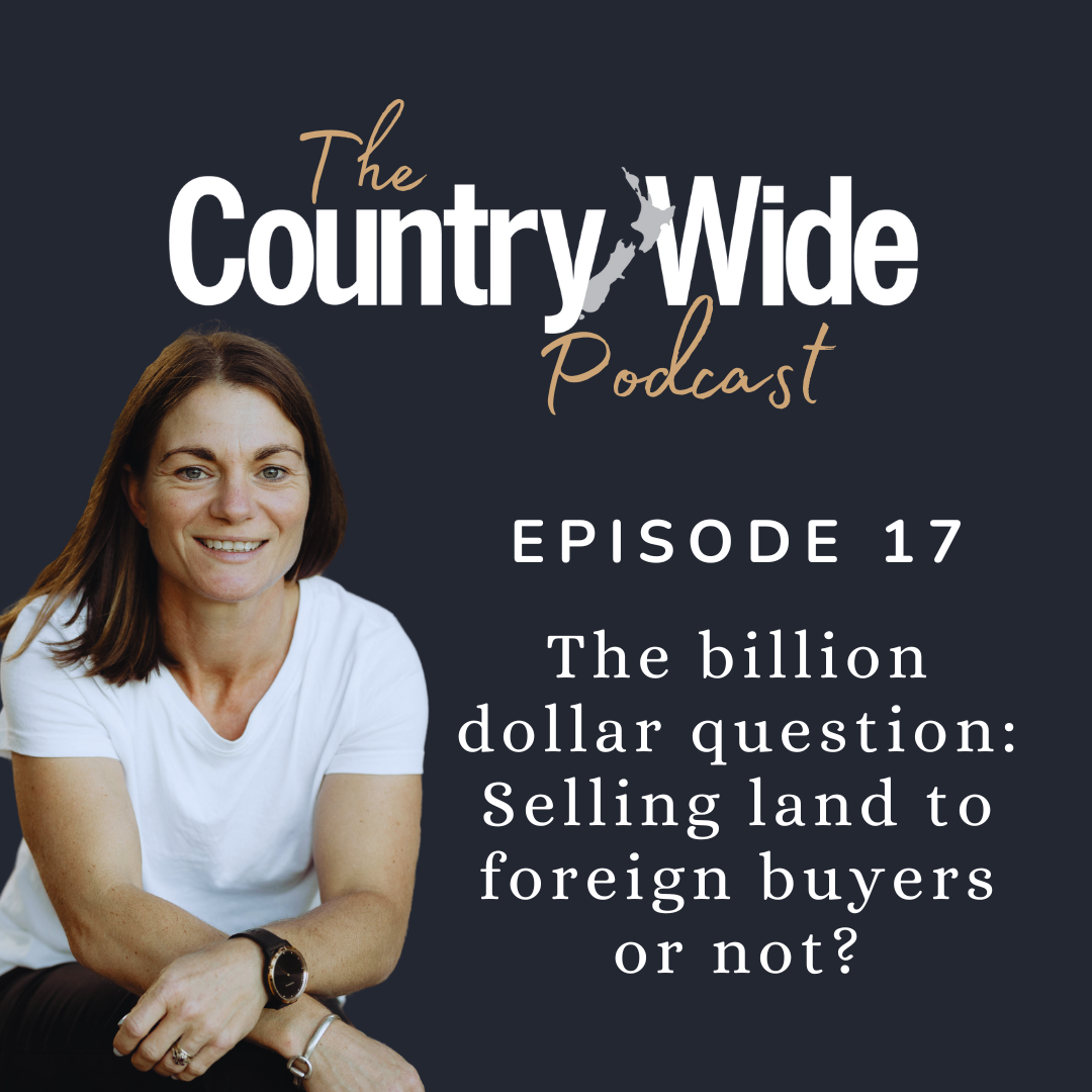 Episode 17 - The billion dollar question: Selling land to foreign buyers or not?