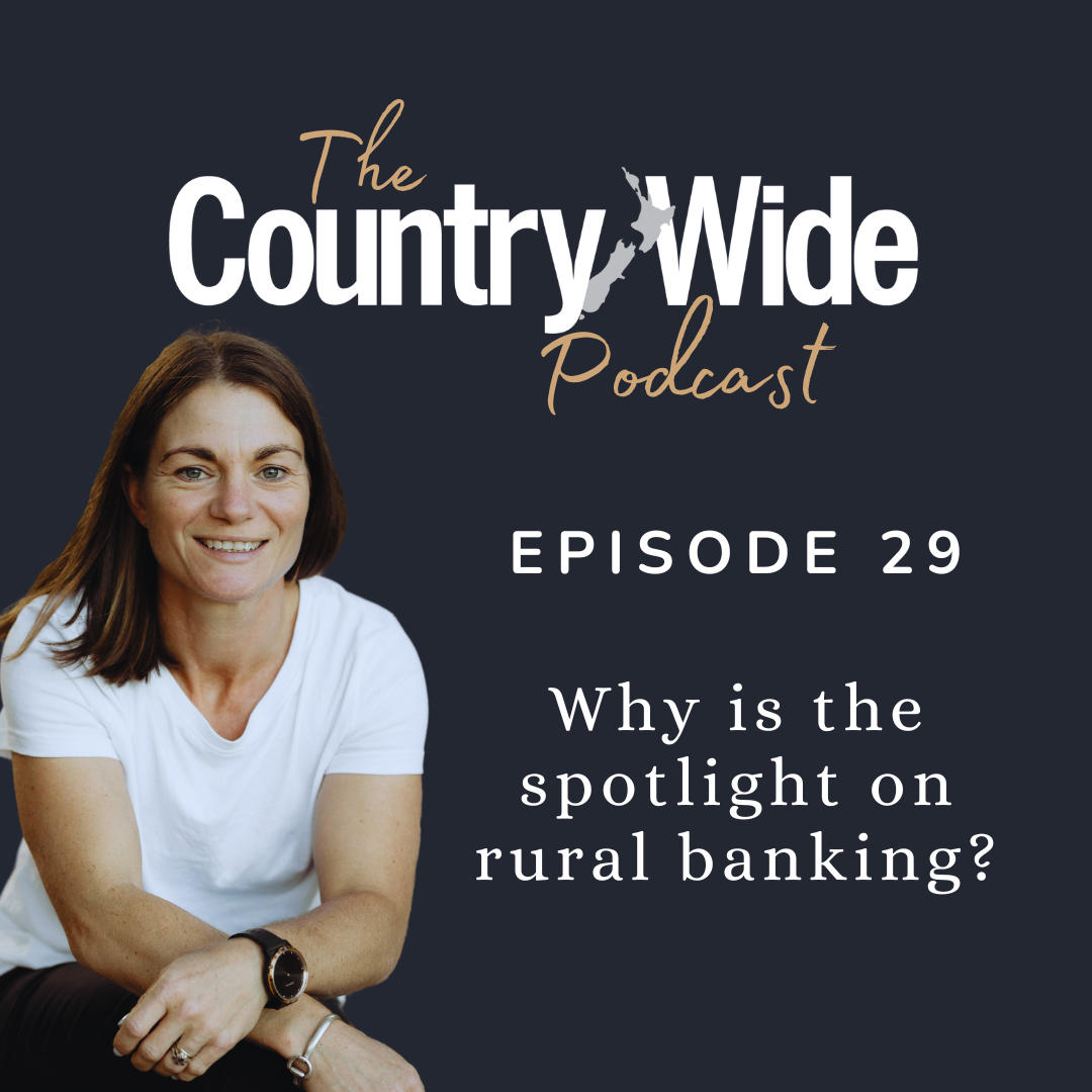 Episode 29 - Spotlight on rural bank lending