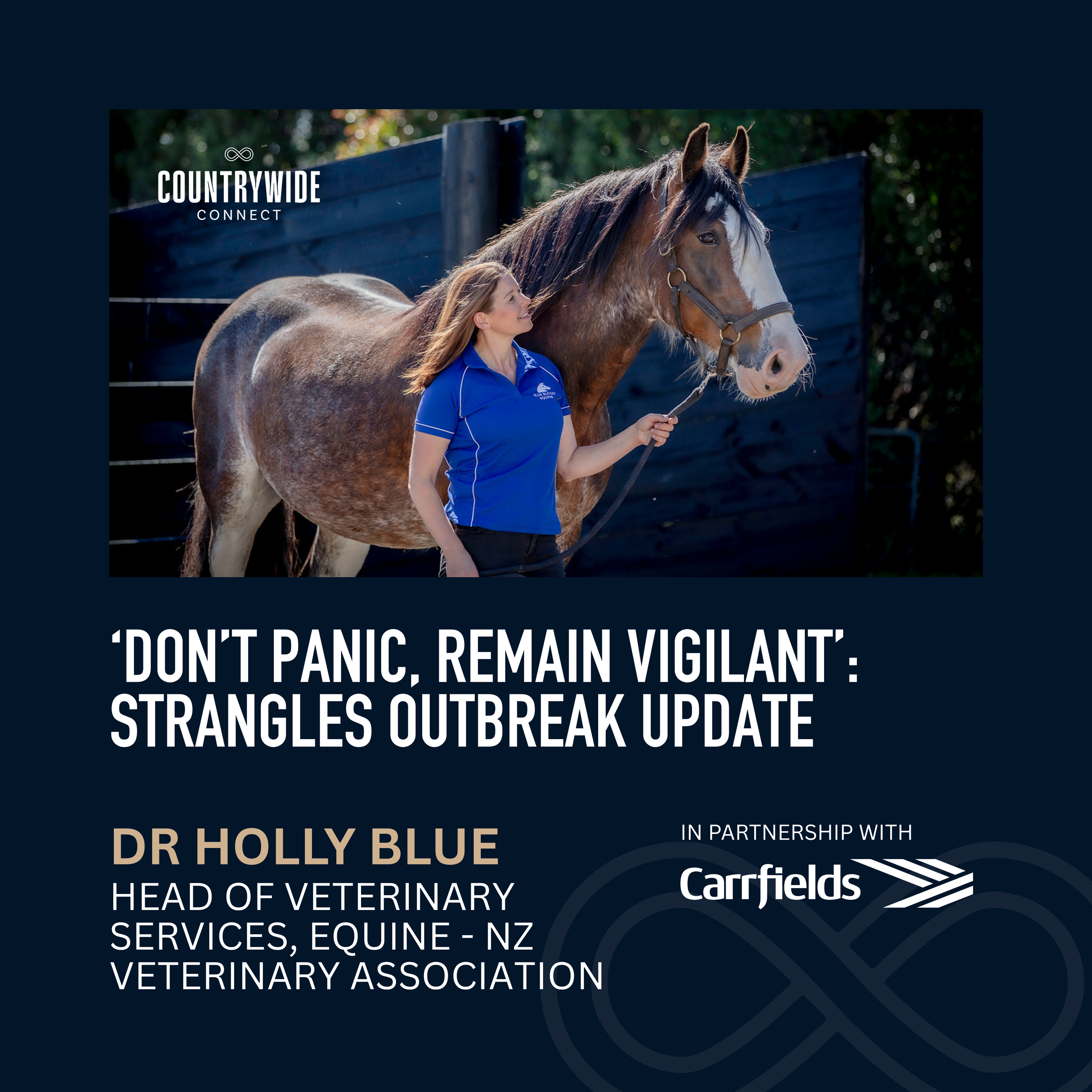 Dr Holly Blue - ‘Don’t panic, remain vigilant’: Strangles outbreak update episode artwork