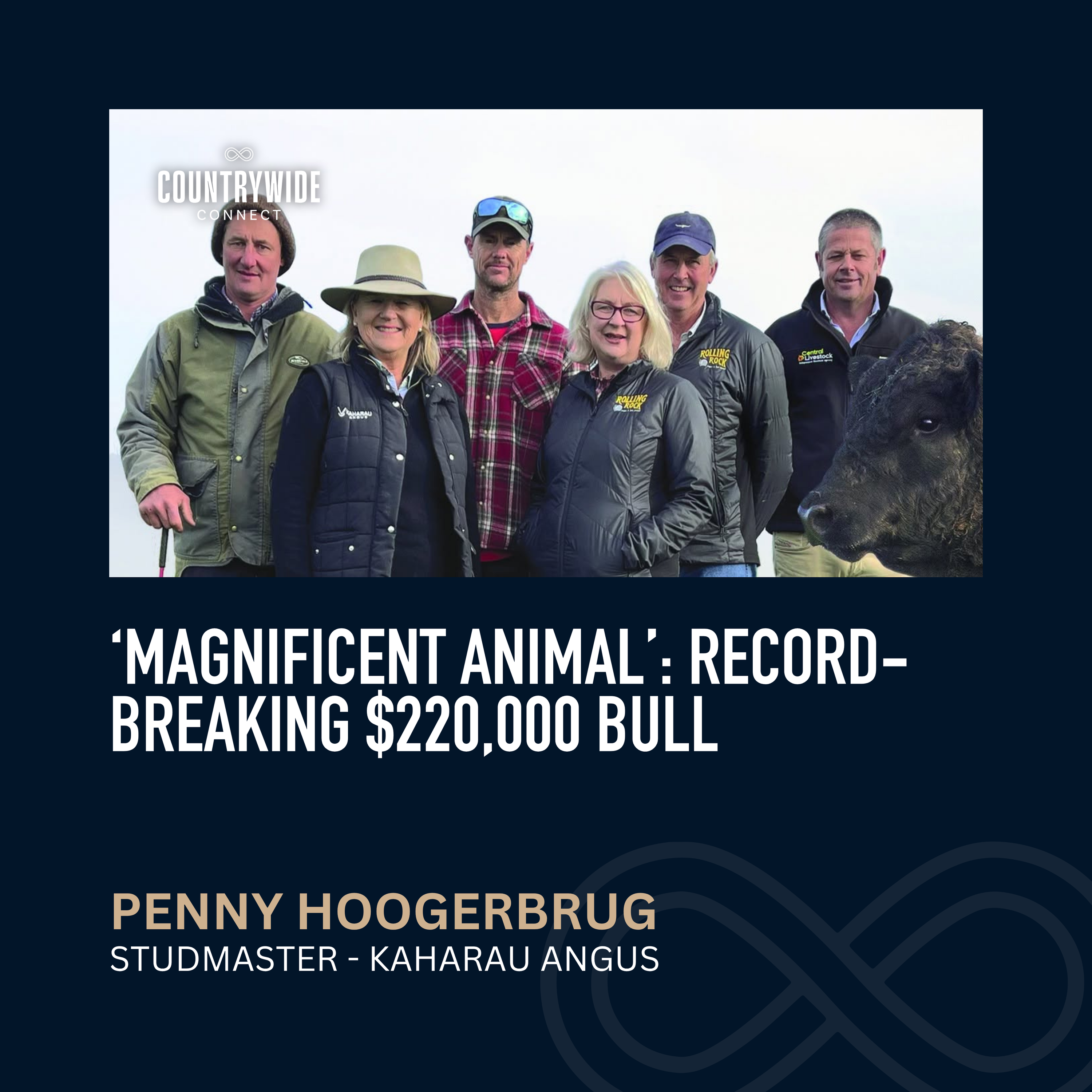 Penny Hoogerbrug - ‘Magnificent animal’: Record-breaking $220,000 bull