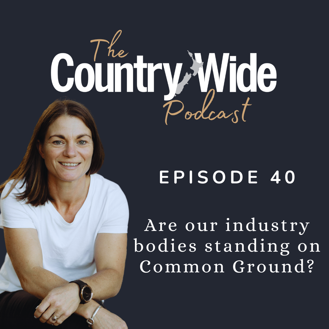 Episode 40 - Are our industry bodies standing on Common Ground?