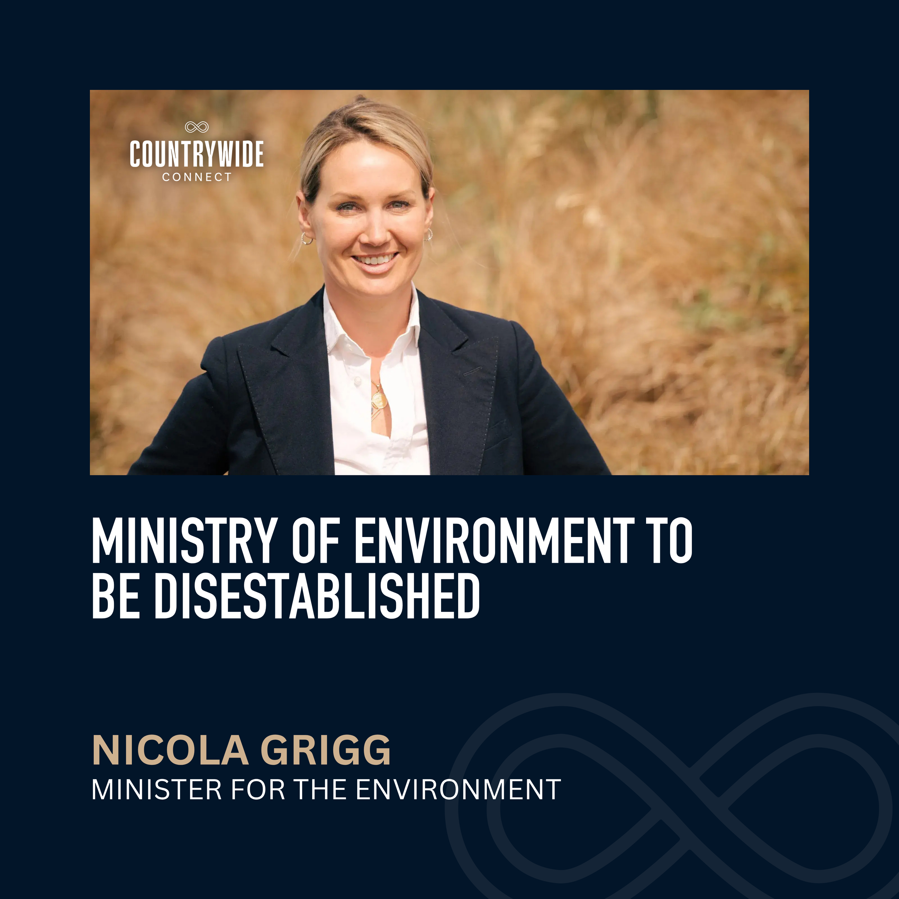 Nicola Grigg - Ministry of the Environment to be disestablished episode artwork
