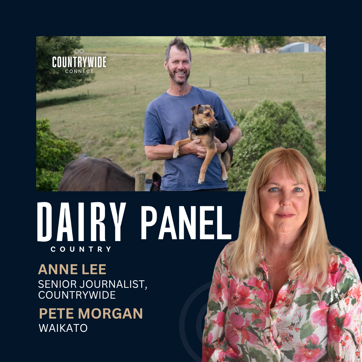 Pete Morgan - AI on farm: How dairy farmers are using tech to lift performance episode artwork
