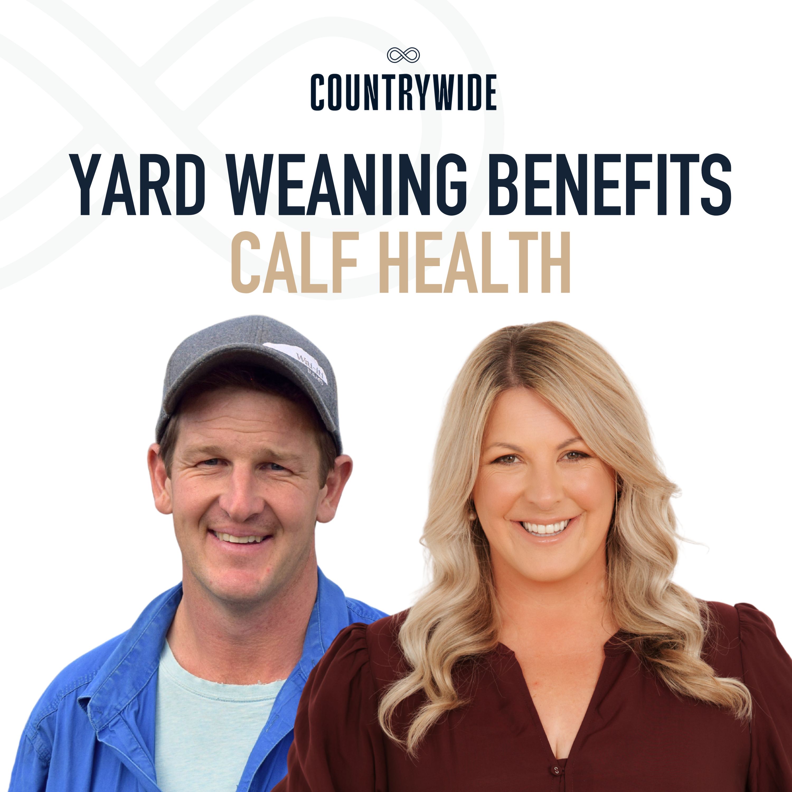 Episode 105 - Yard weaning benefits calf health