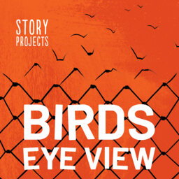 BIRDS EYE VIEW: trailer