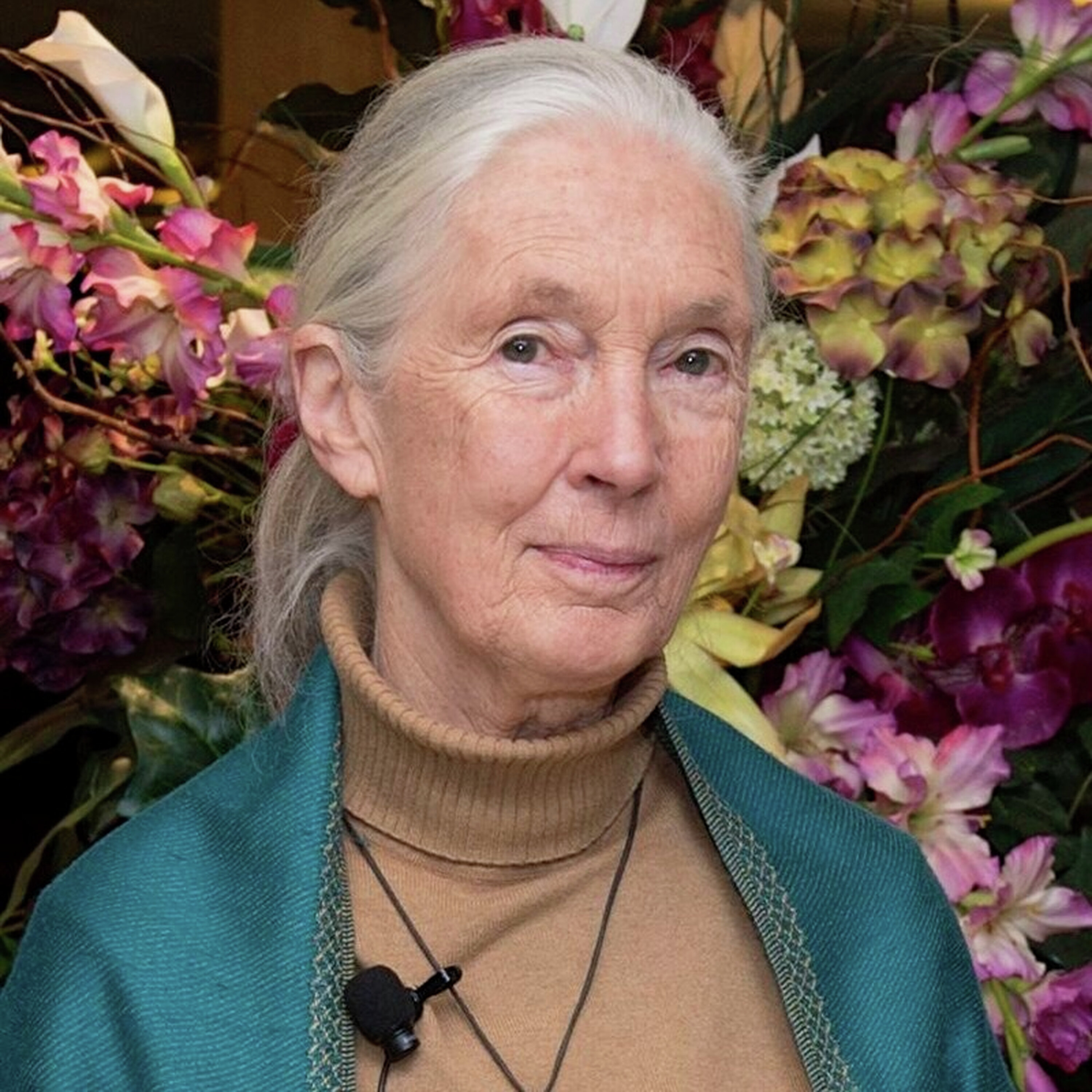 John St. Augustine talks to Dr. Jane Goodall