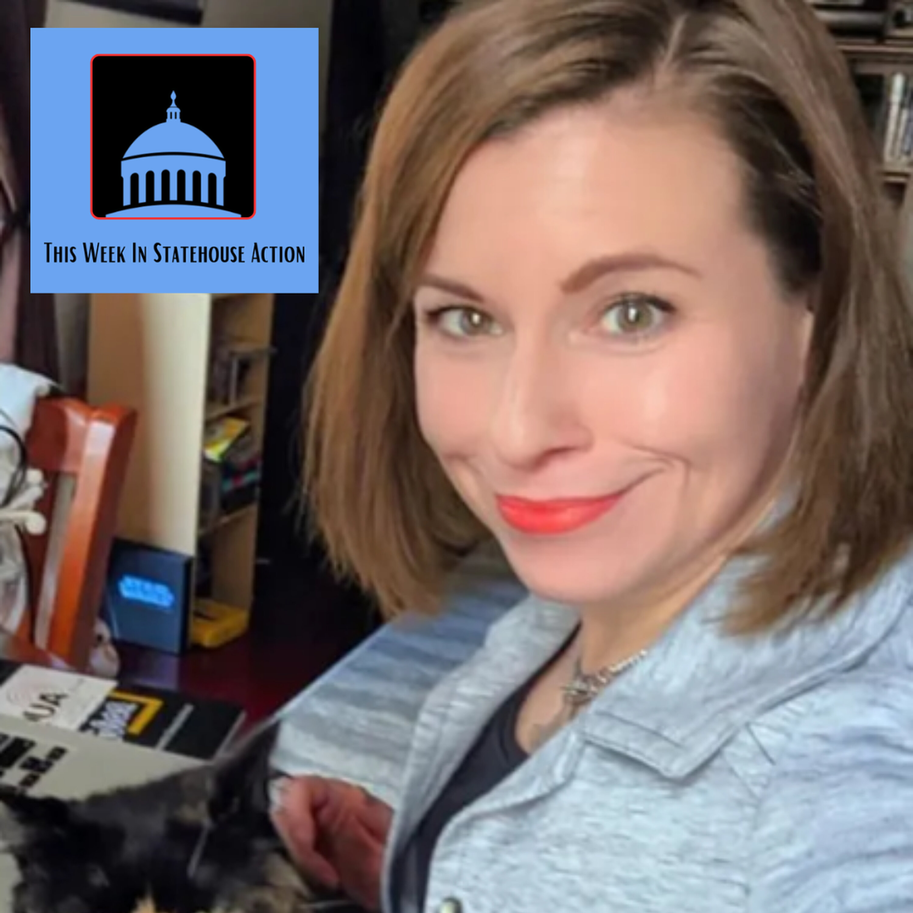WCPT 820 Interview: Carolyn Fiddler, state politics expert episode artwork