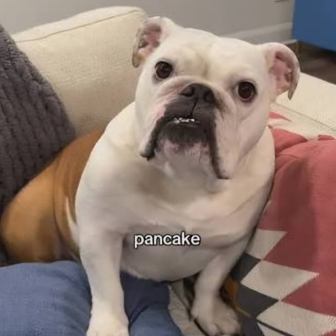 WCPT 820 Interview: Pancake