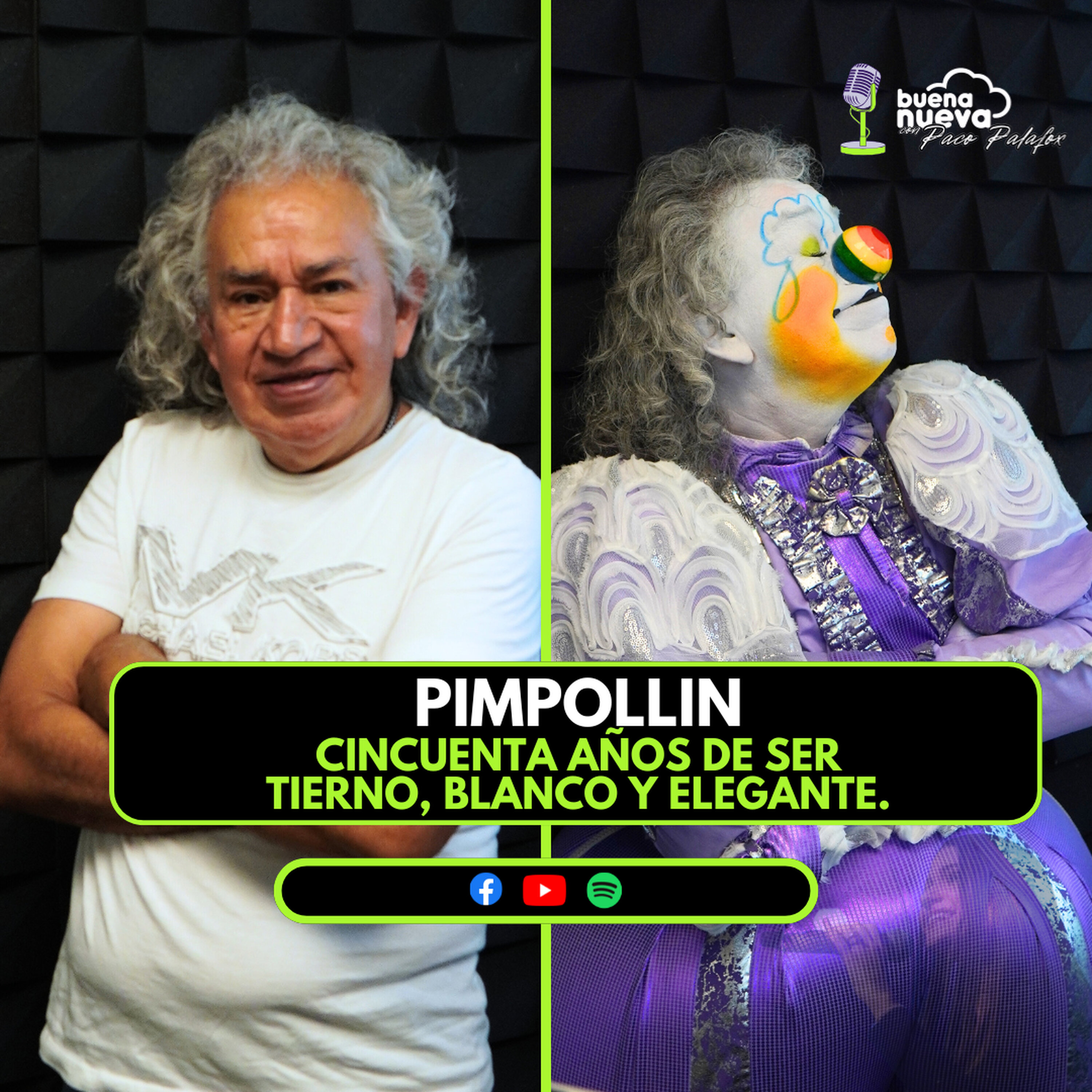 "PIMPOLLIN, cincuenta años de ser TIERNO, BLANCO y ELEGANTE" #49