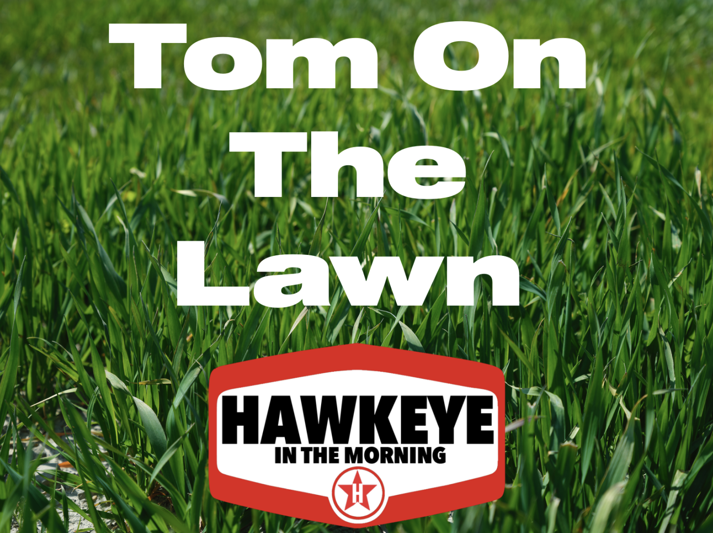 Tom on the Lawn - Miranda Lambert Fan Math Quiz