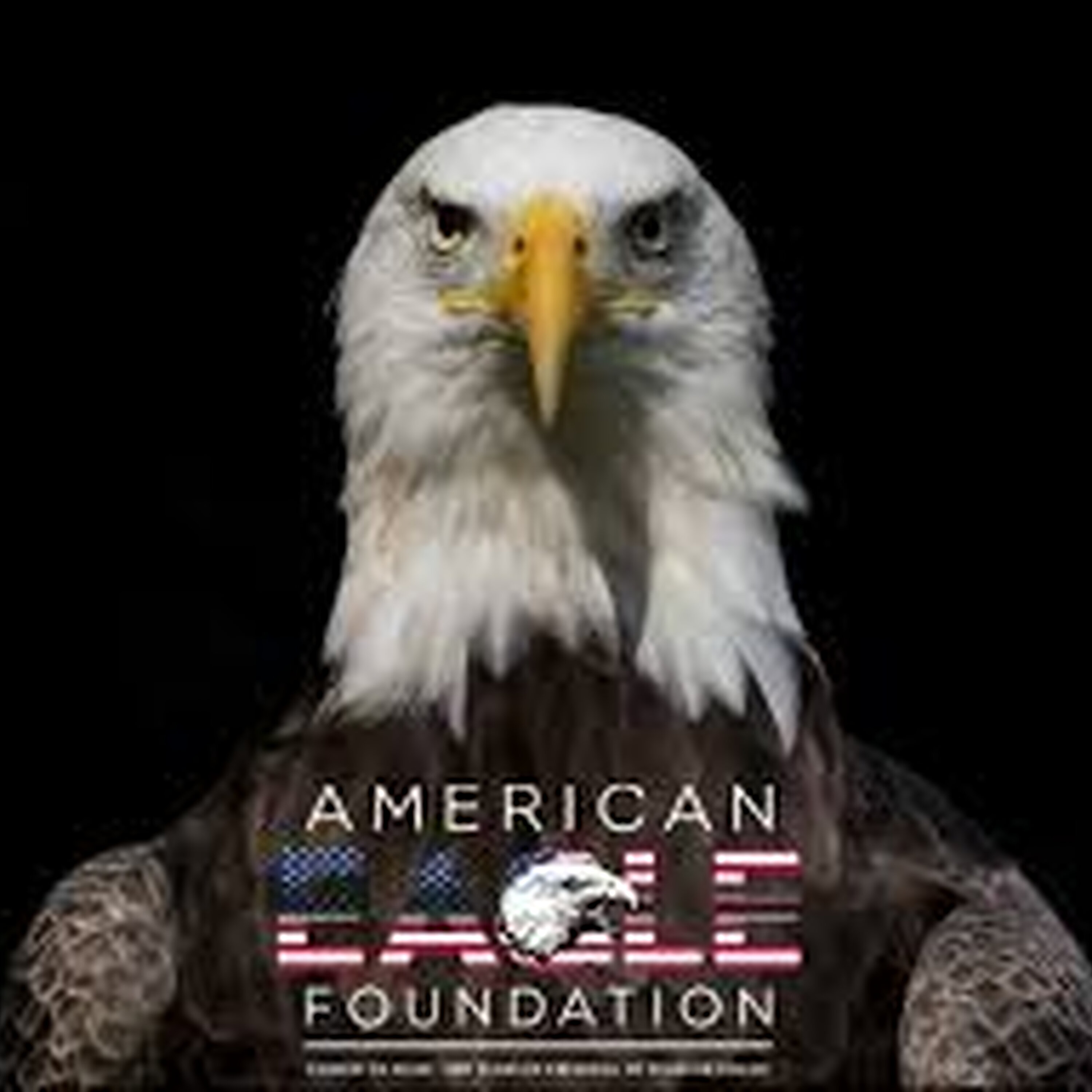 American Eagle Foundation's Lori Moore - May 4, 2026 episode artwork