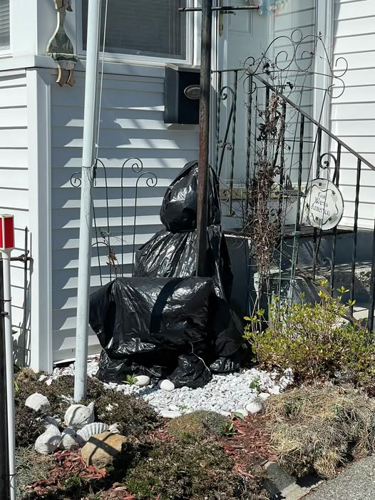 What is on Jay's Neighbor's Front Steps? 