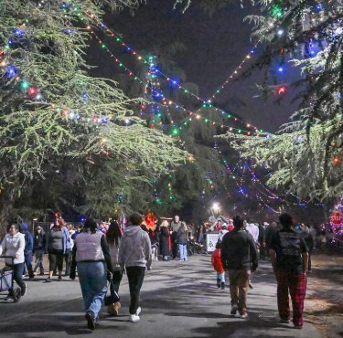 Giving Tuesday and Christmas Tree Lane Kicks off!