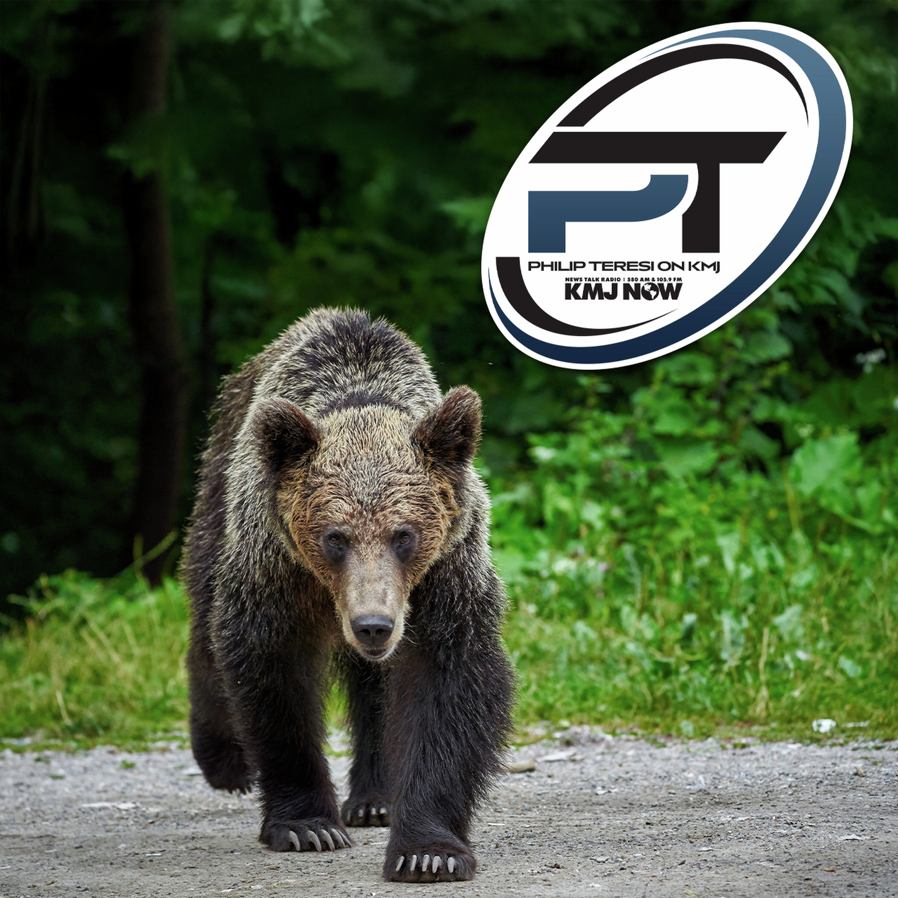 Bears Are Running Amok in Lake Tahoe artwork