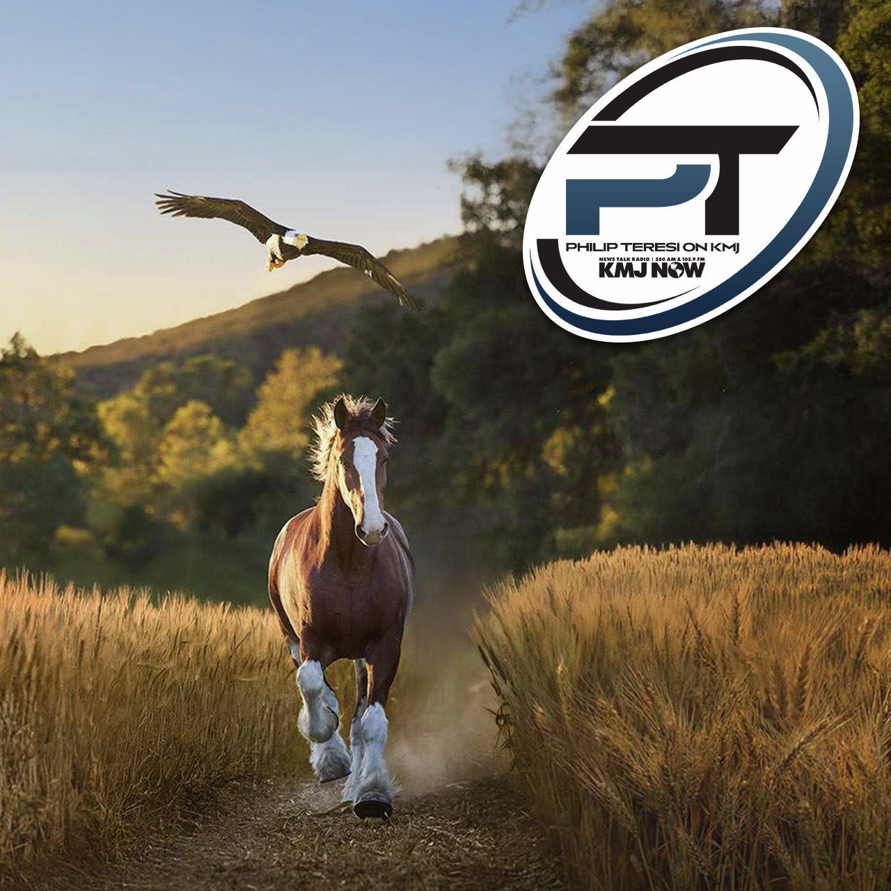 Sorting Through Super Bowl 60 Ads